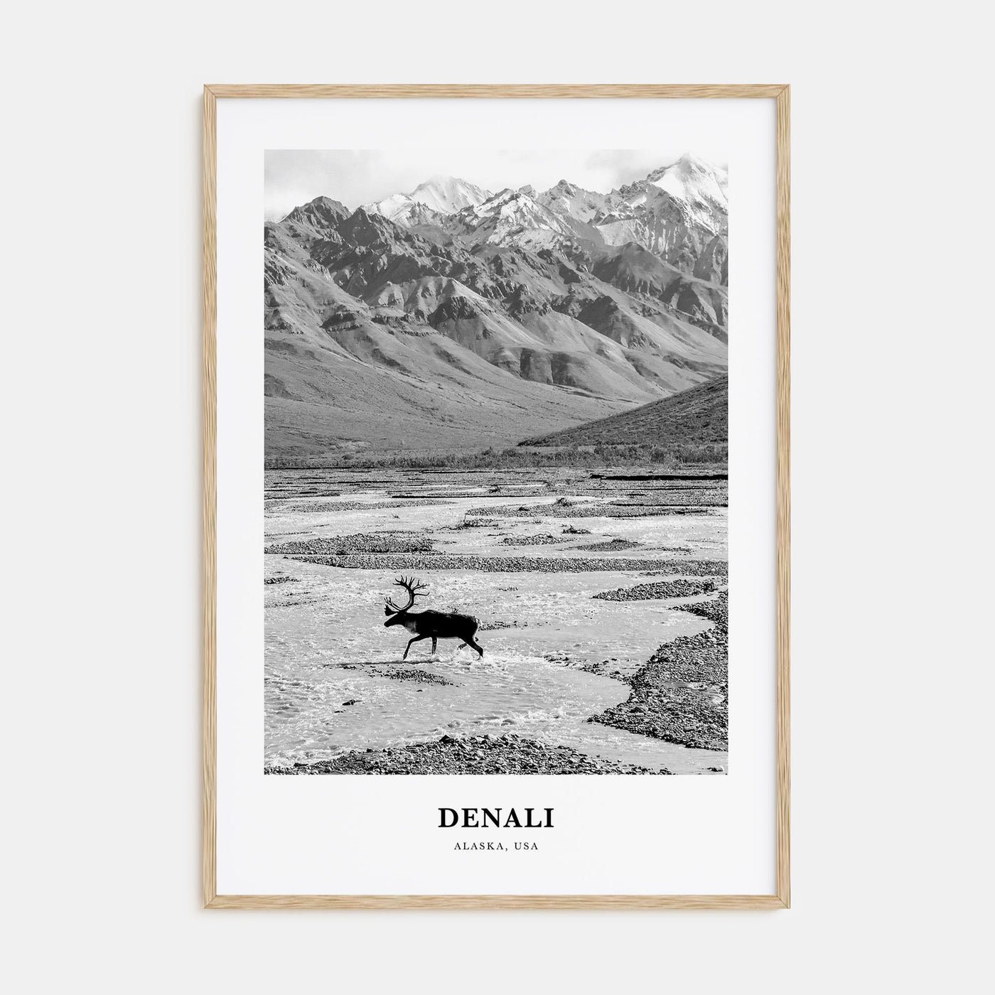 Denali Portrait B&W Poster