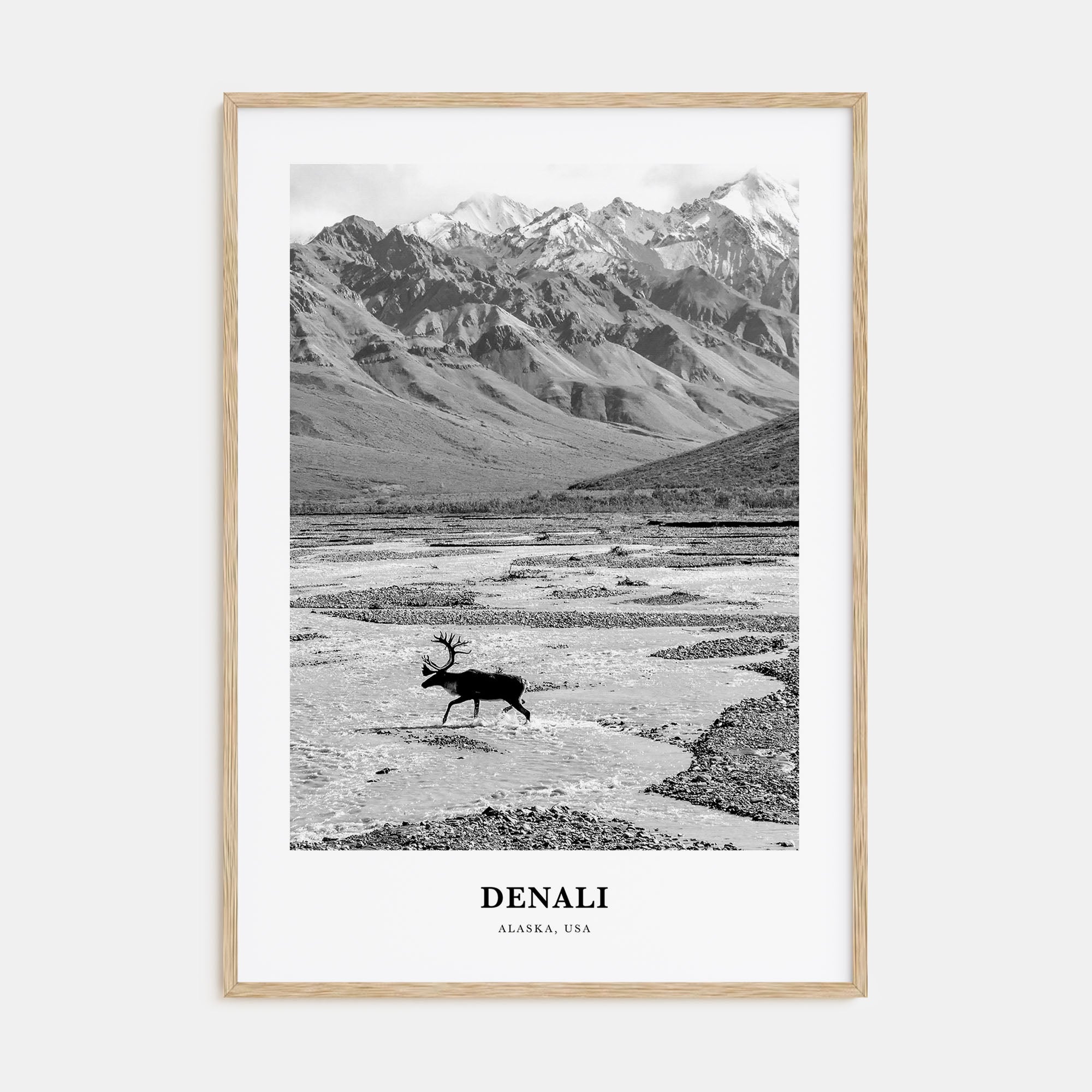 Denali Portrait B&W Poster