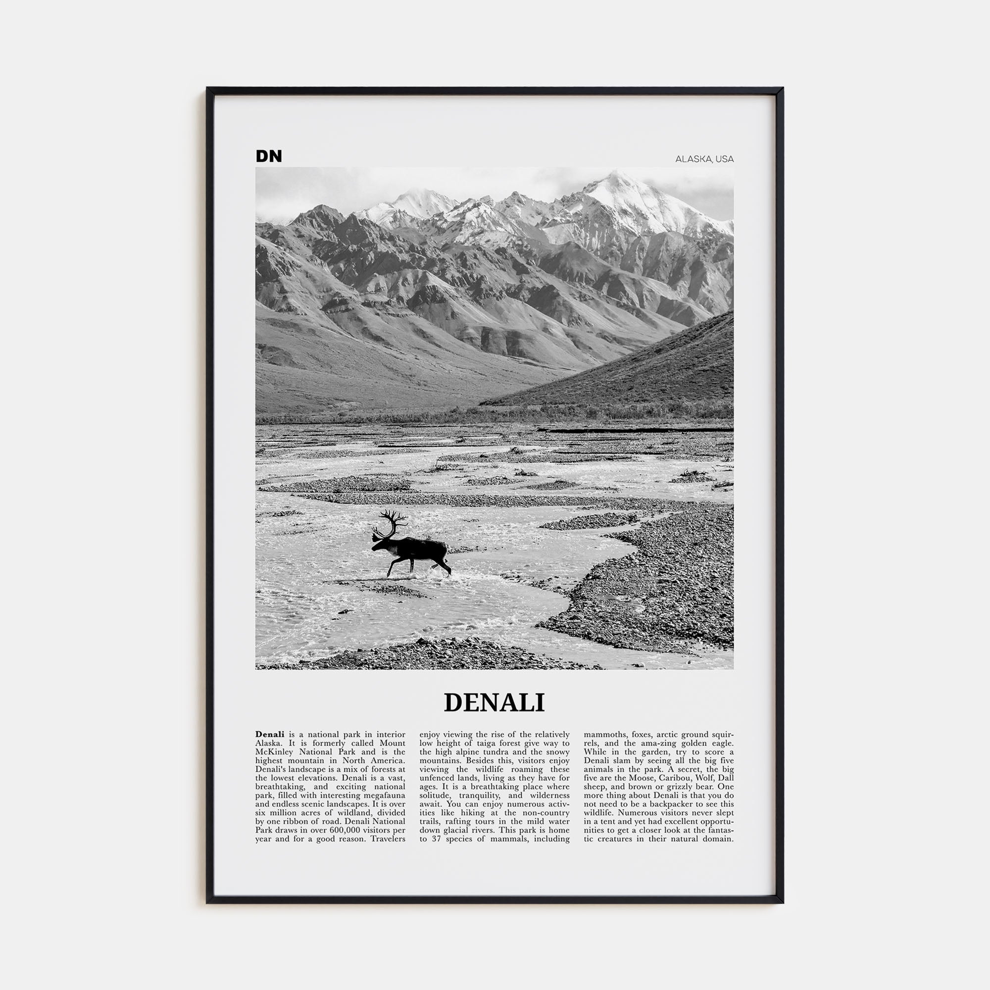 Denali Travel B&W Poster