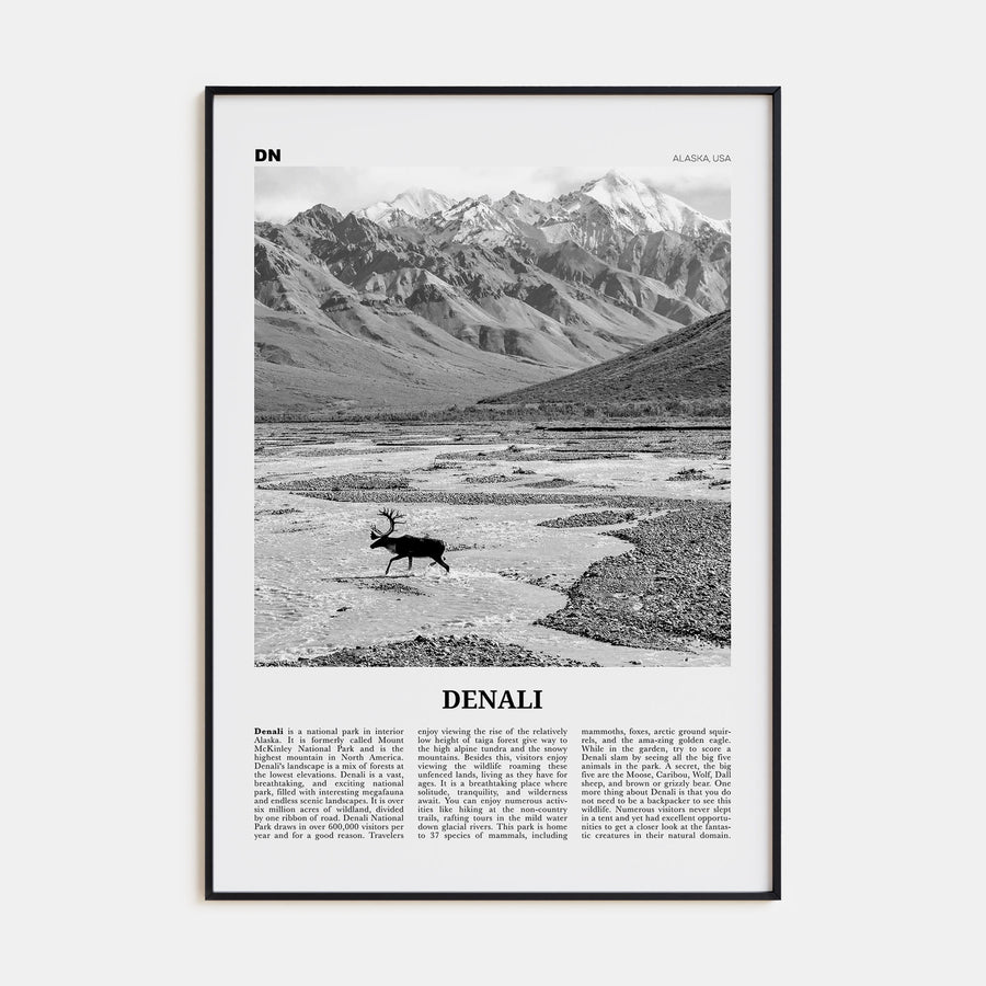 Denali Travel B&W Poster