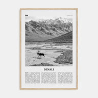 Denali Travel B&W Poster