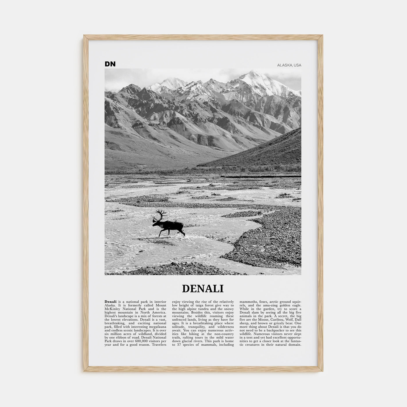 Denali Travel B&W Poster