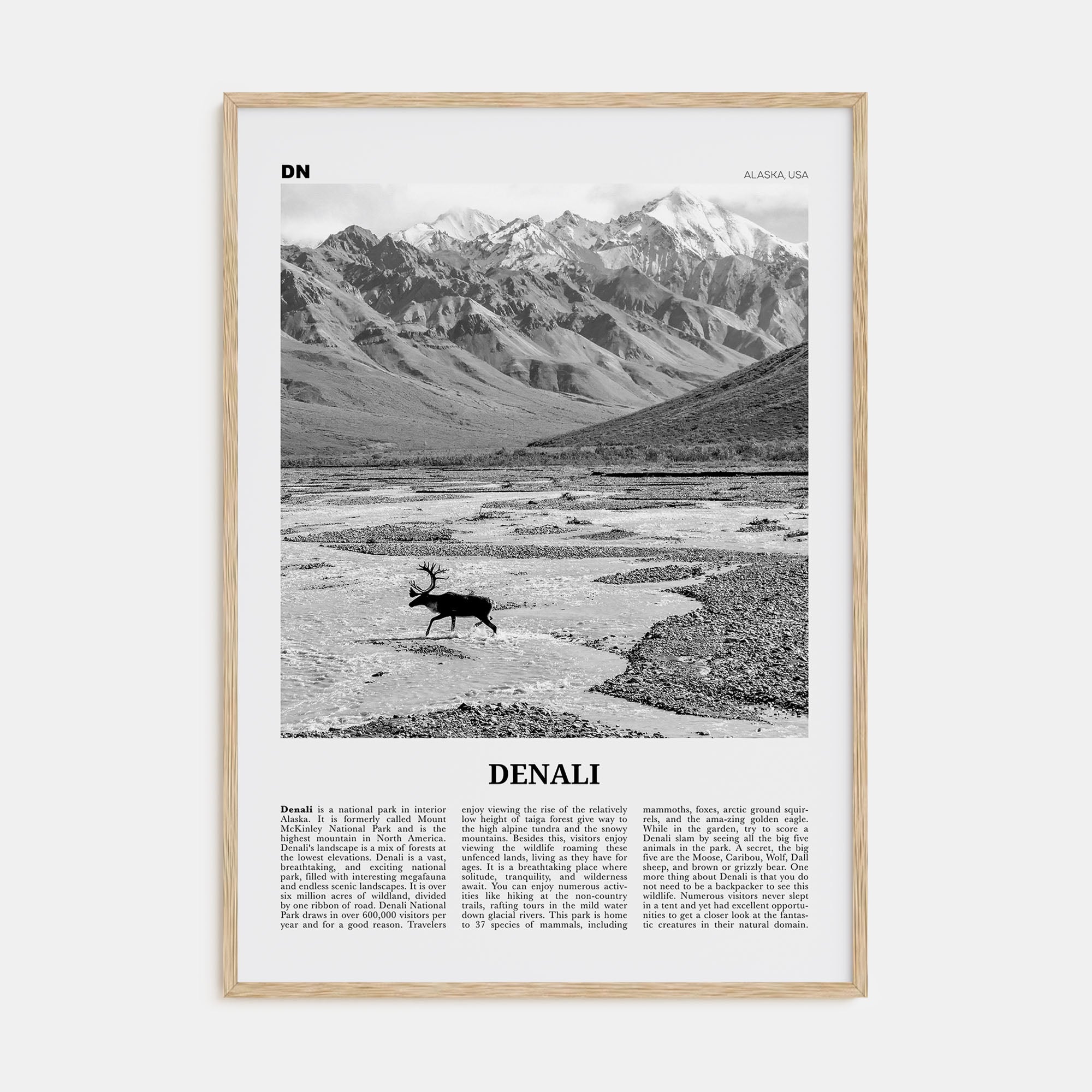 Denali Travel B&W Poster