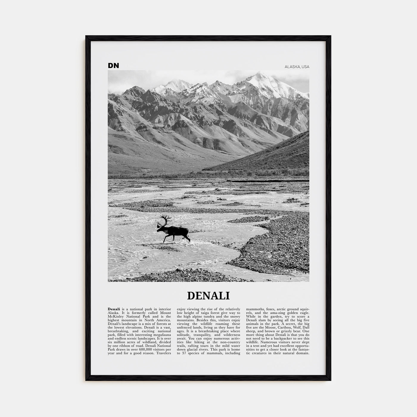 Denali Travel B&W Poster
