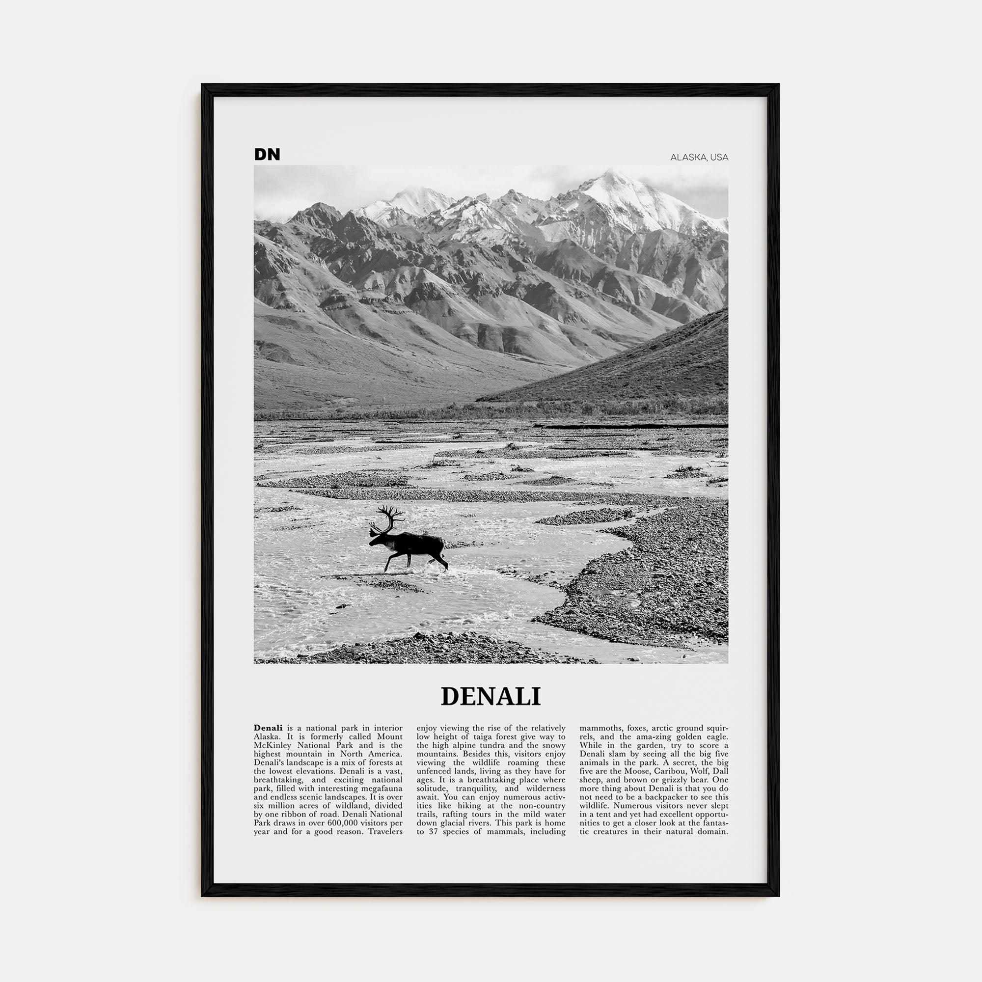 Denali Travel B&W Poster
