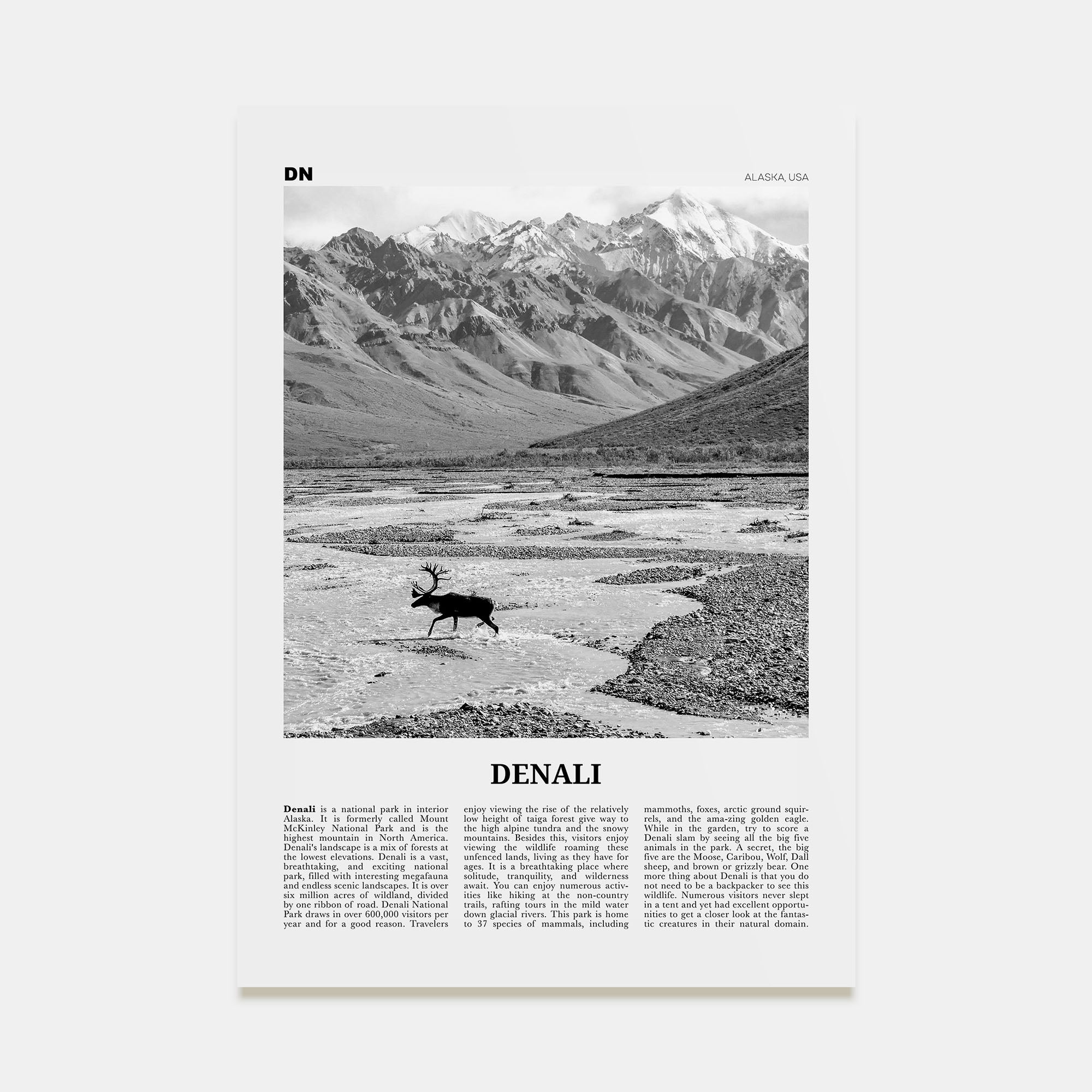 Denali Travel B&W Poster