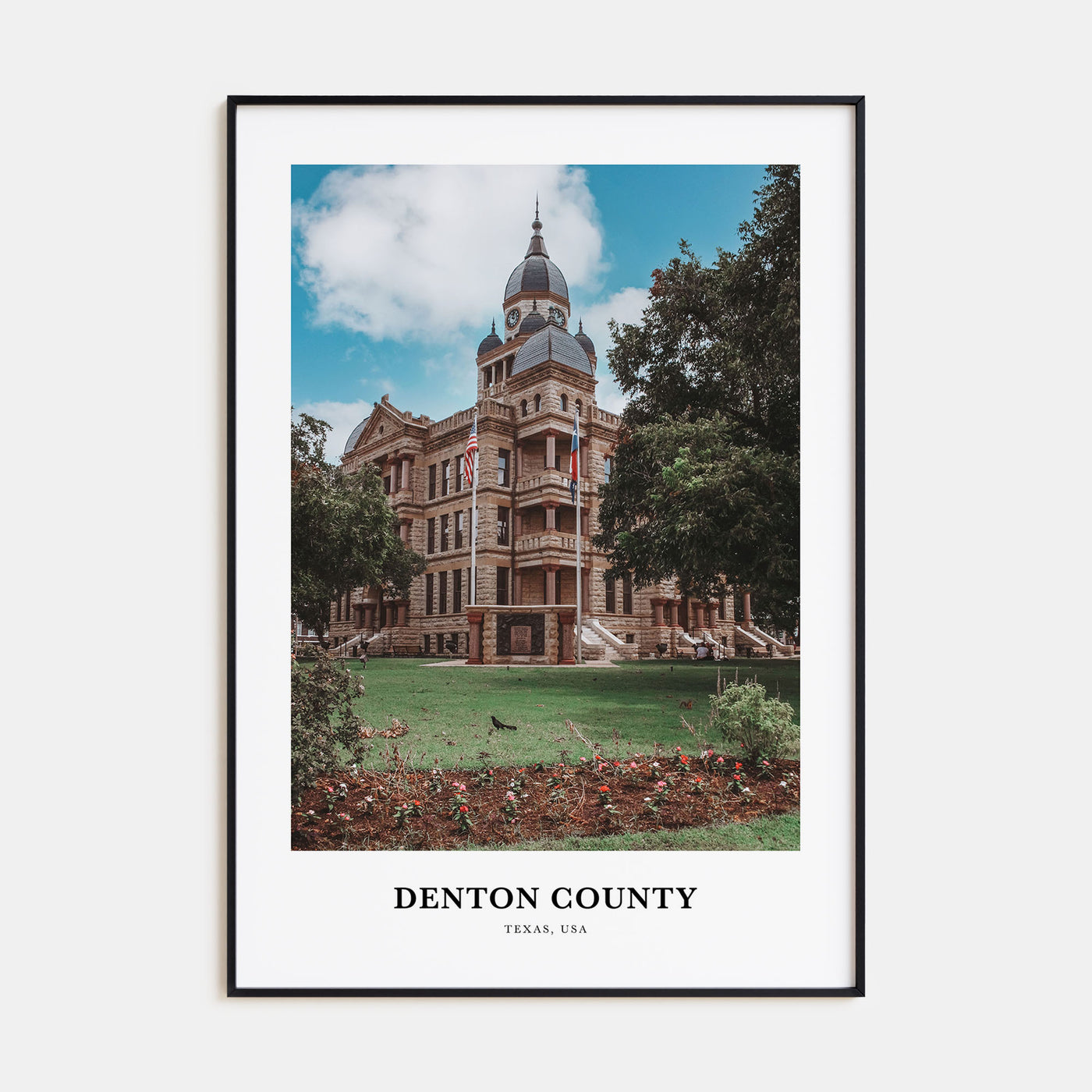 Denton County Portrait Color Poster
