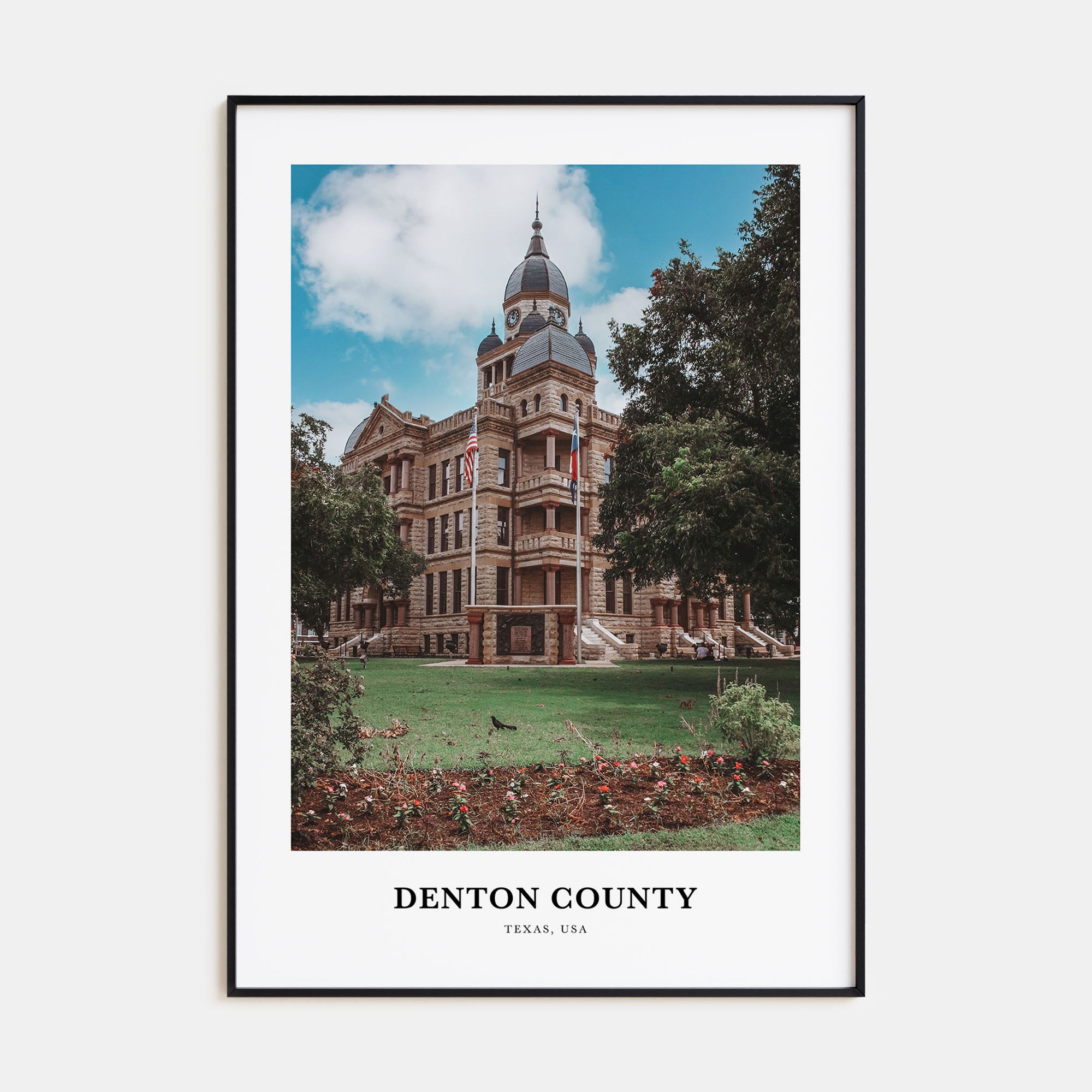 Denton County Portrait Color Poster