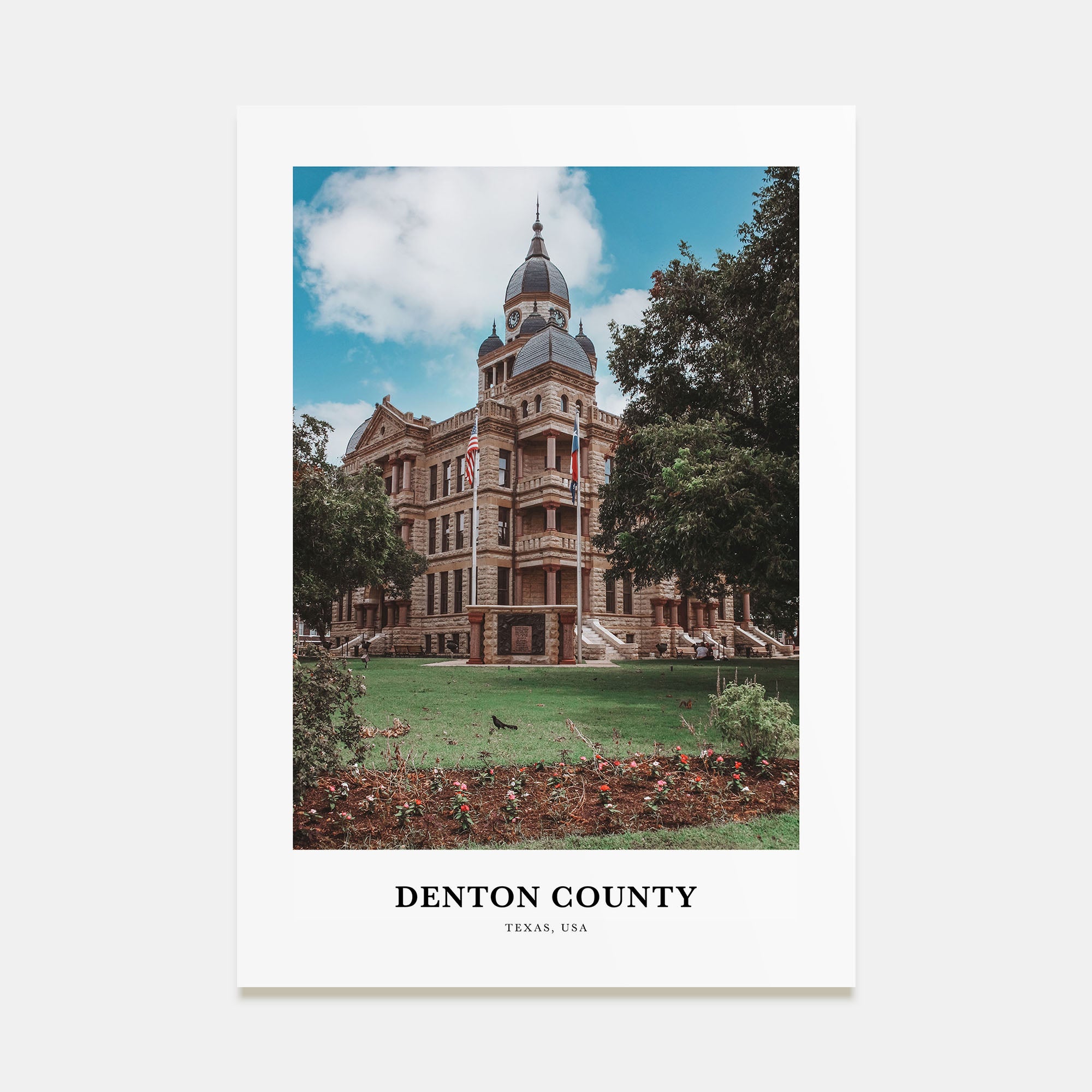 Denton County Portrait Color Poster