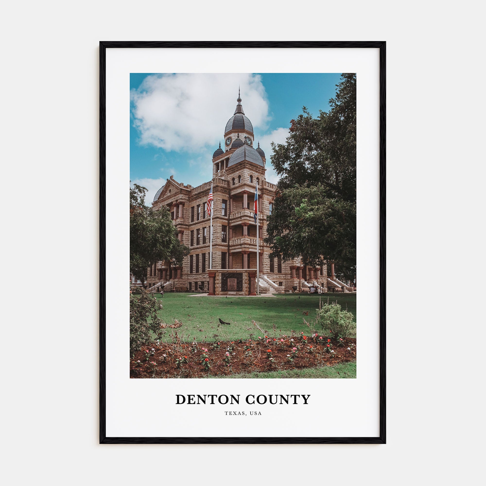 Denton County Portrait Color Poster