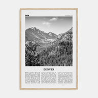 Denver Travel B&W No 1 Poster