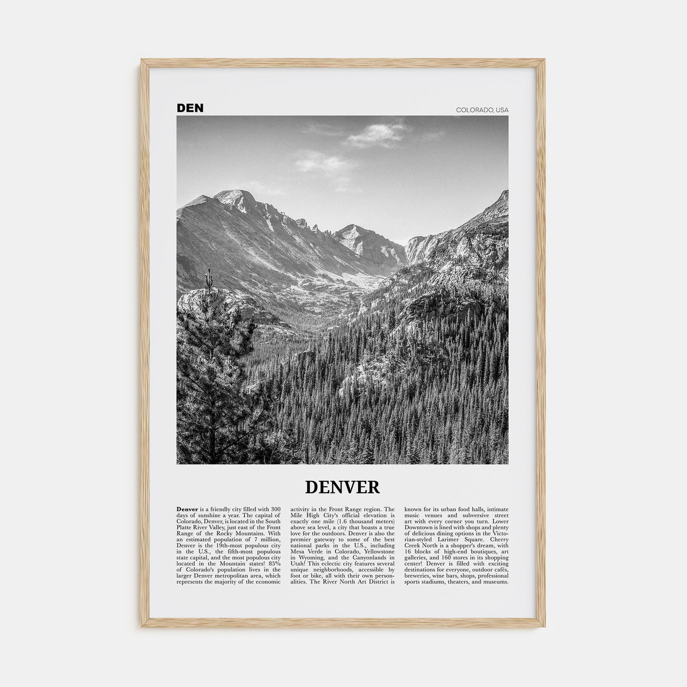 Denver Travel B&W No 1 Poster