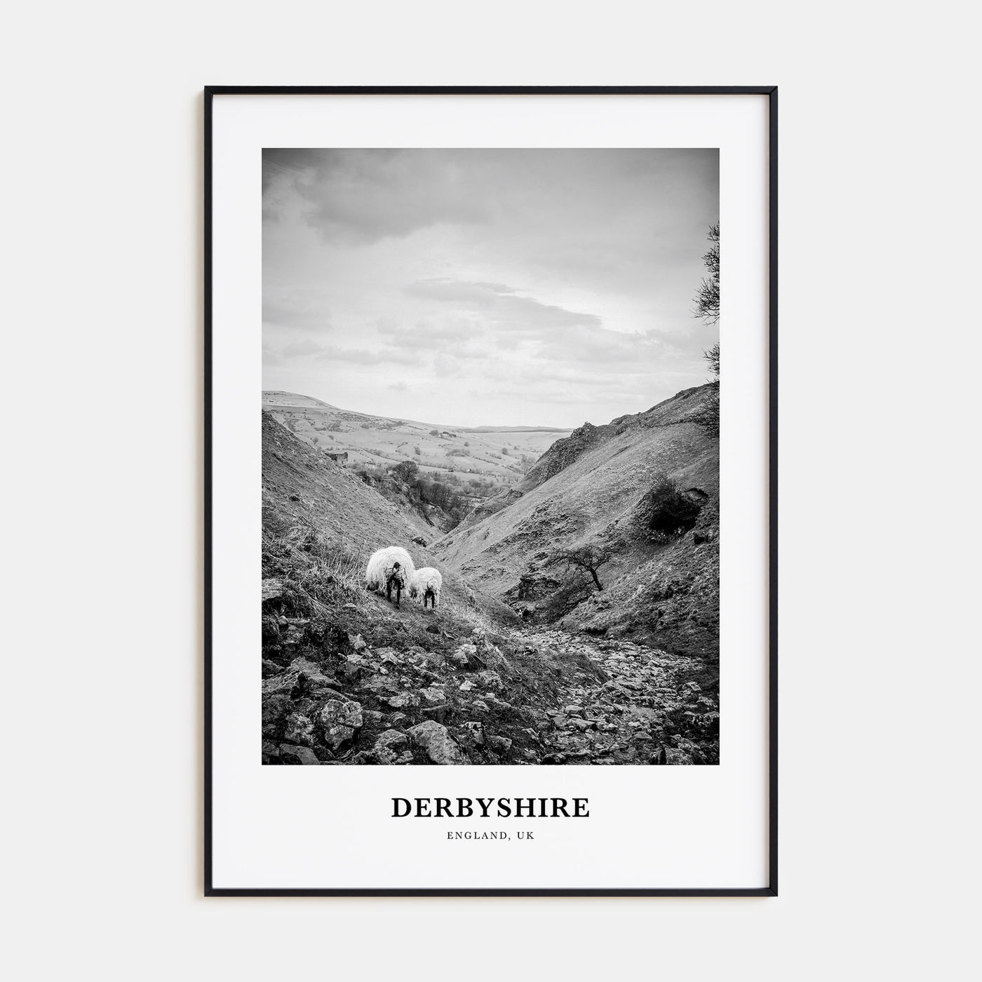 Derbyshire Portrait B&W Poster