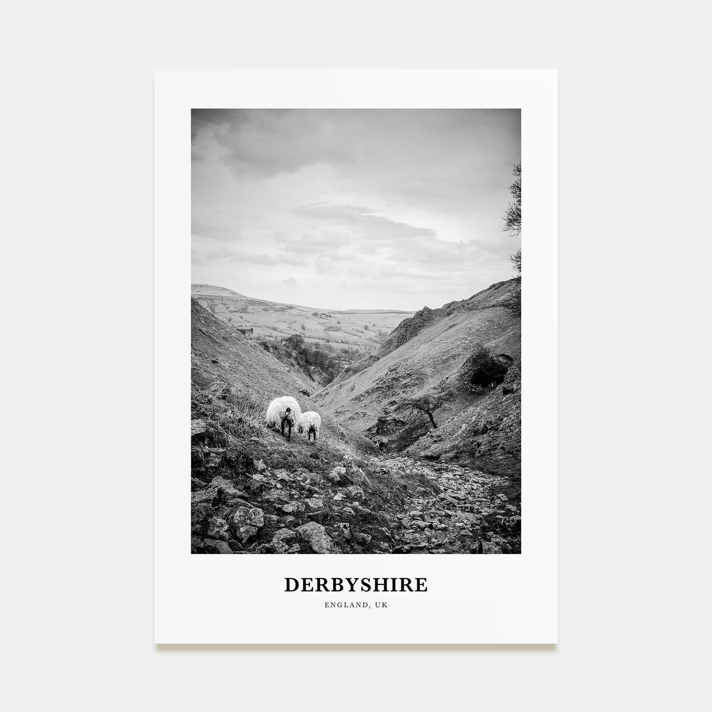 Derbyshire Portrait B&W Poster