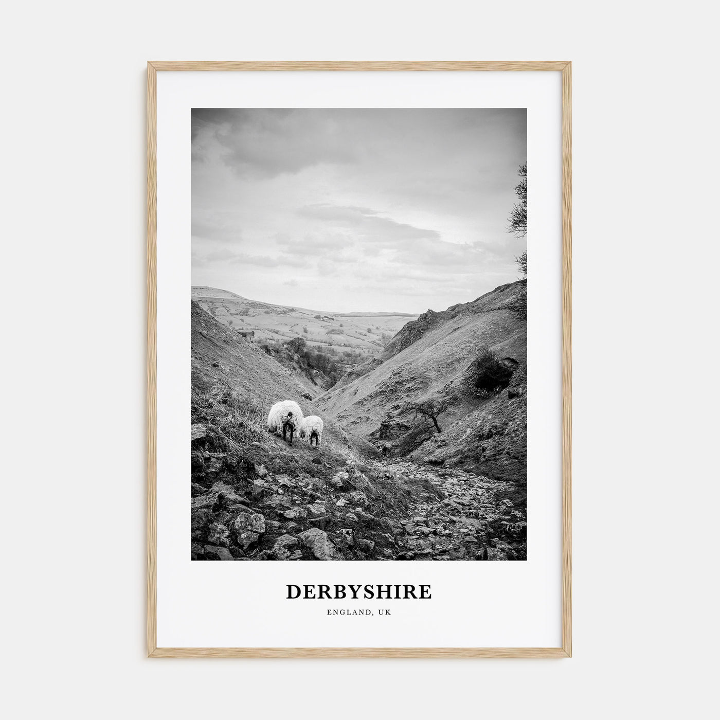 Derbyshire Portrait B&W Poster