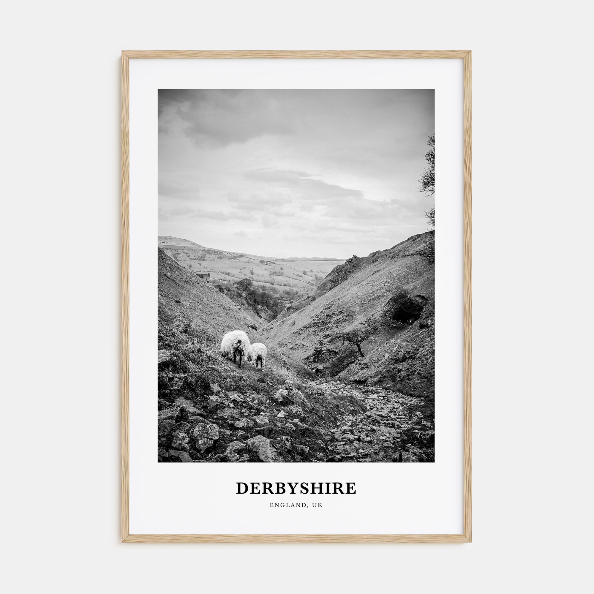 Derbyshire Portrait B&W Poster
