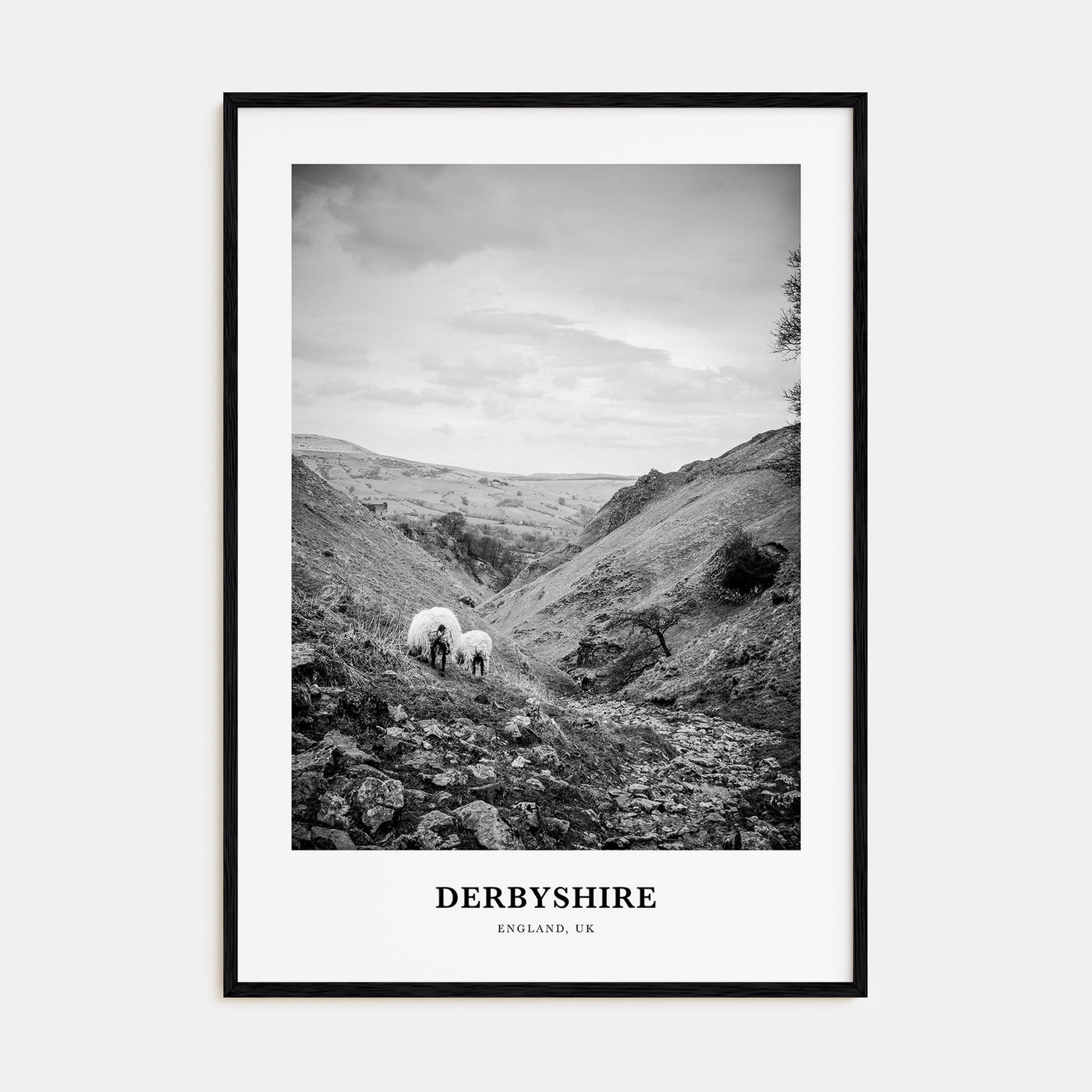 Derbyshire Portrait B&W Poster