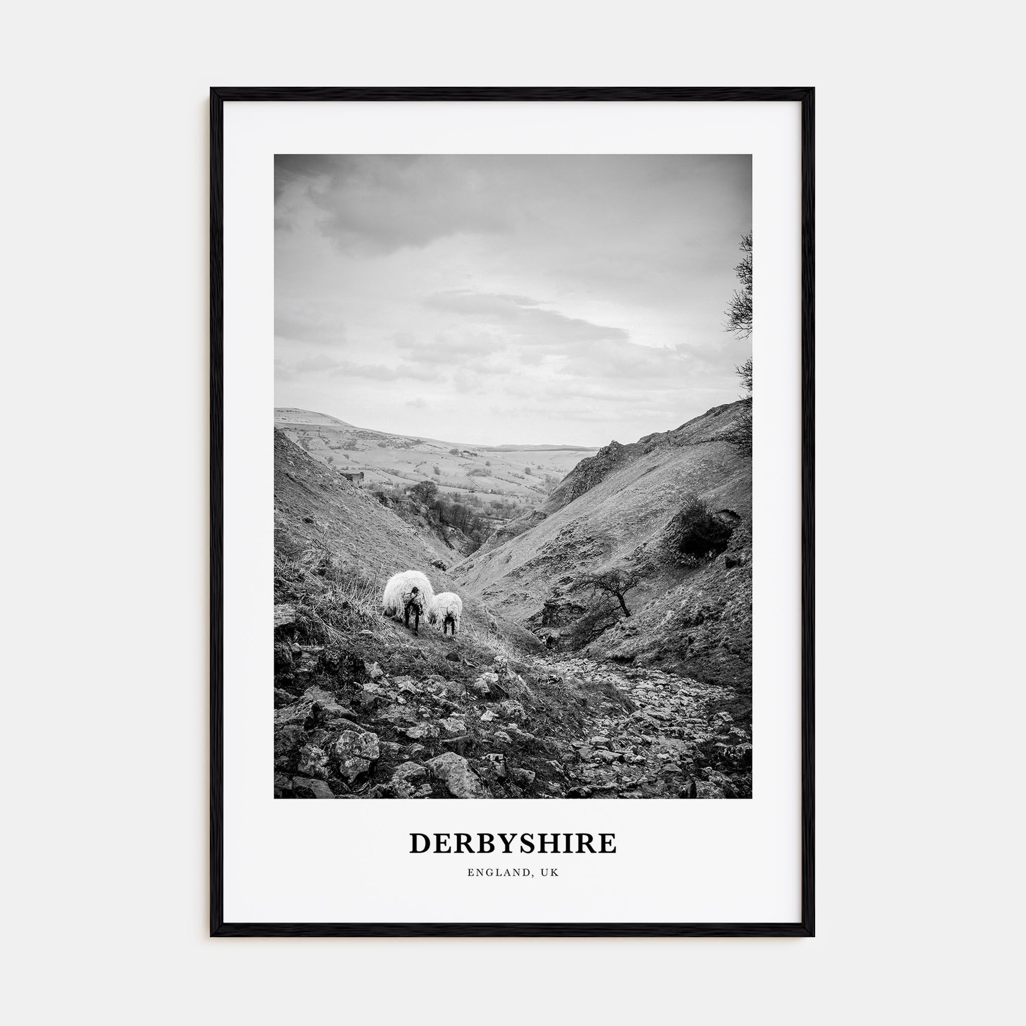 Derbyshire Portrait B&W Poster