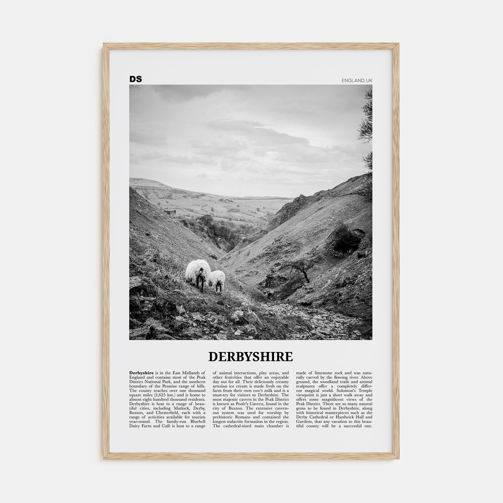 Derbyshire Travel B&W Poster