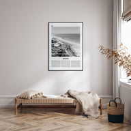 Destin Travel B&W No 1 Poster