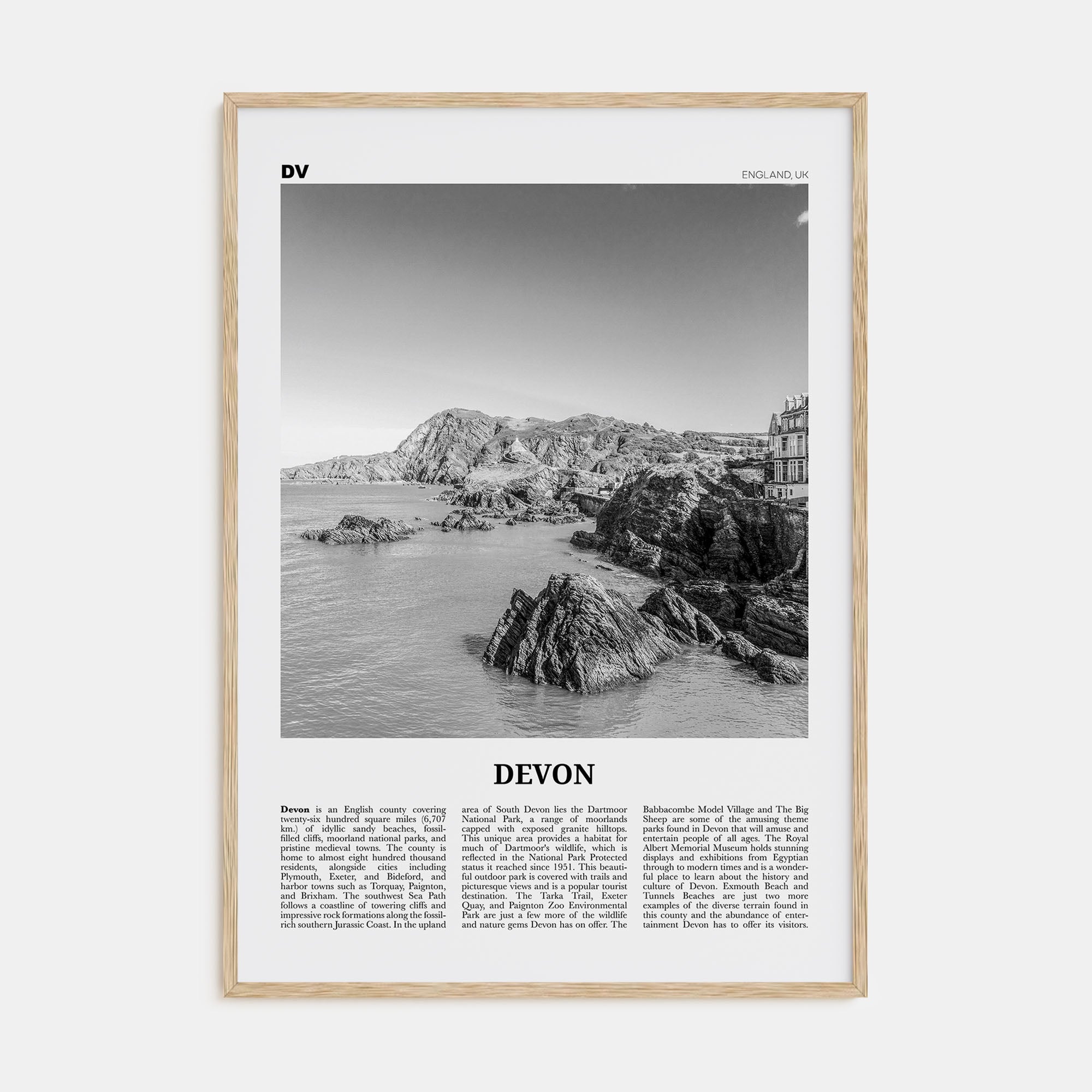 Devon Travel B&W Poster
