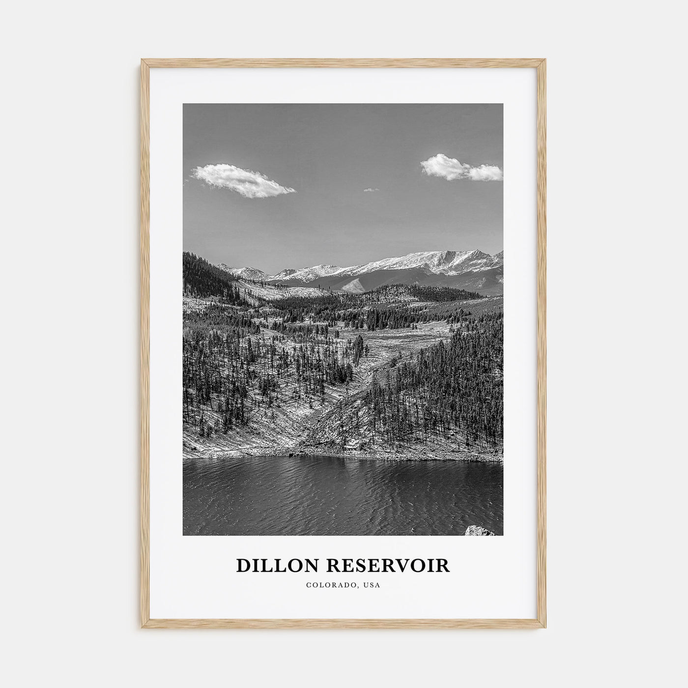 Dillon Reservoir Portrait B&W Poster