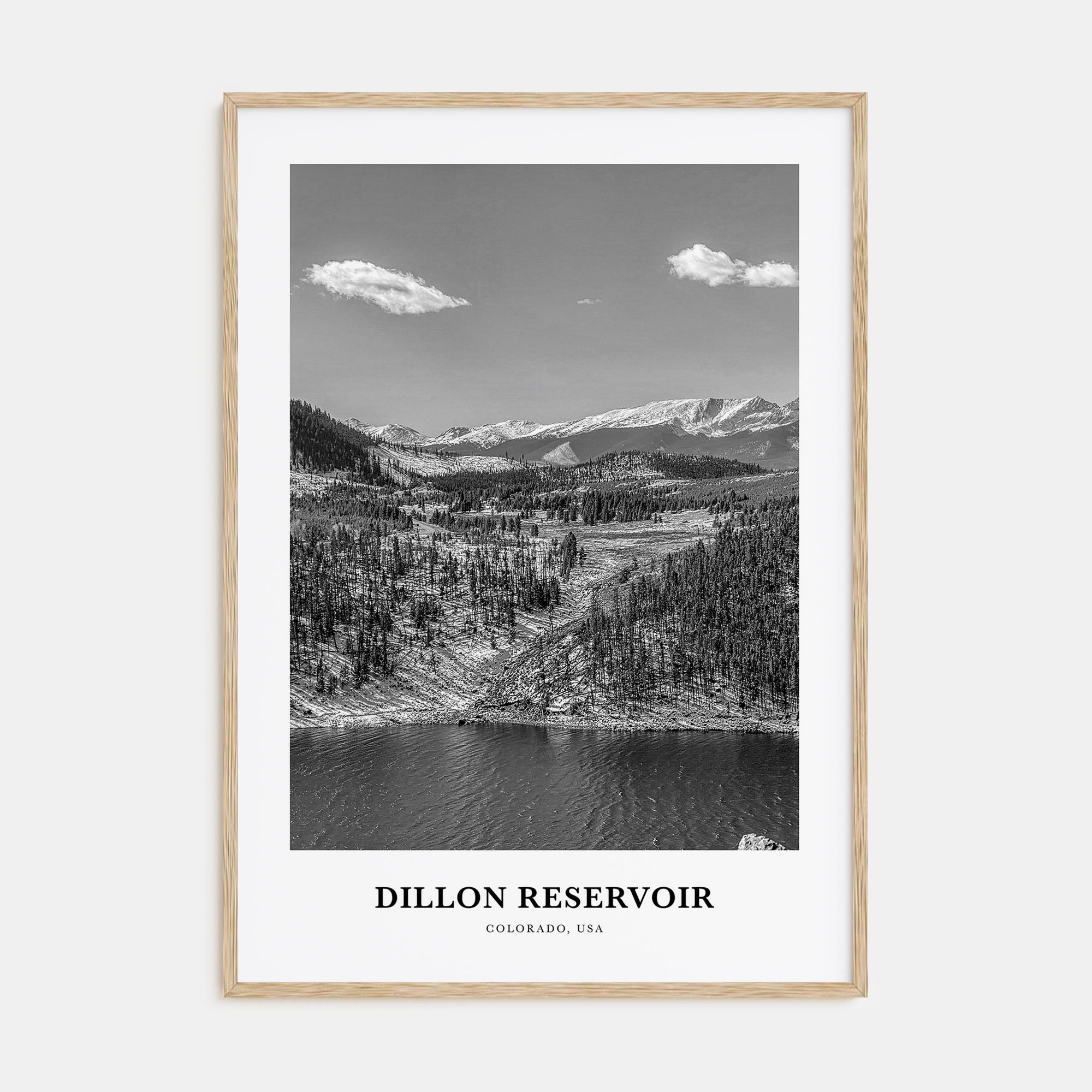Dillon Reservoir Portrait B&W Poster
