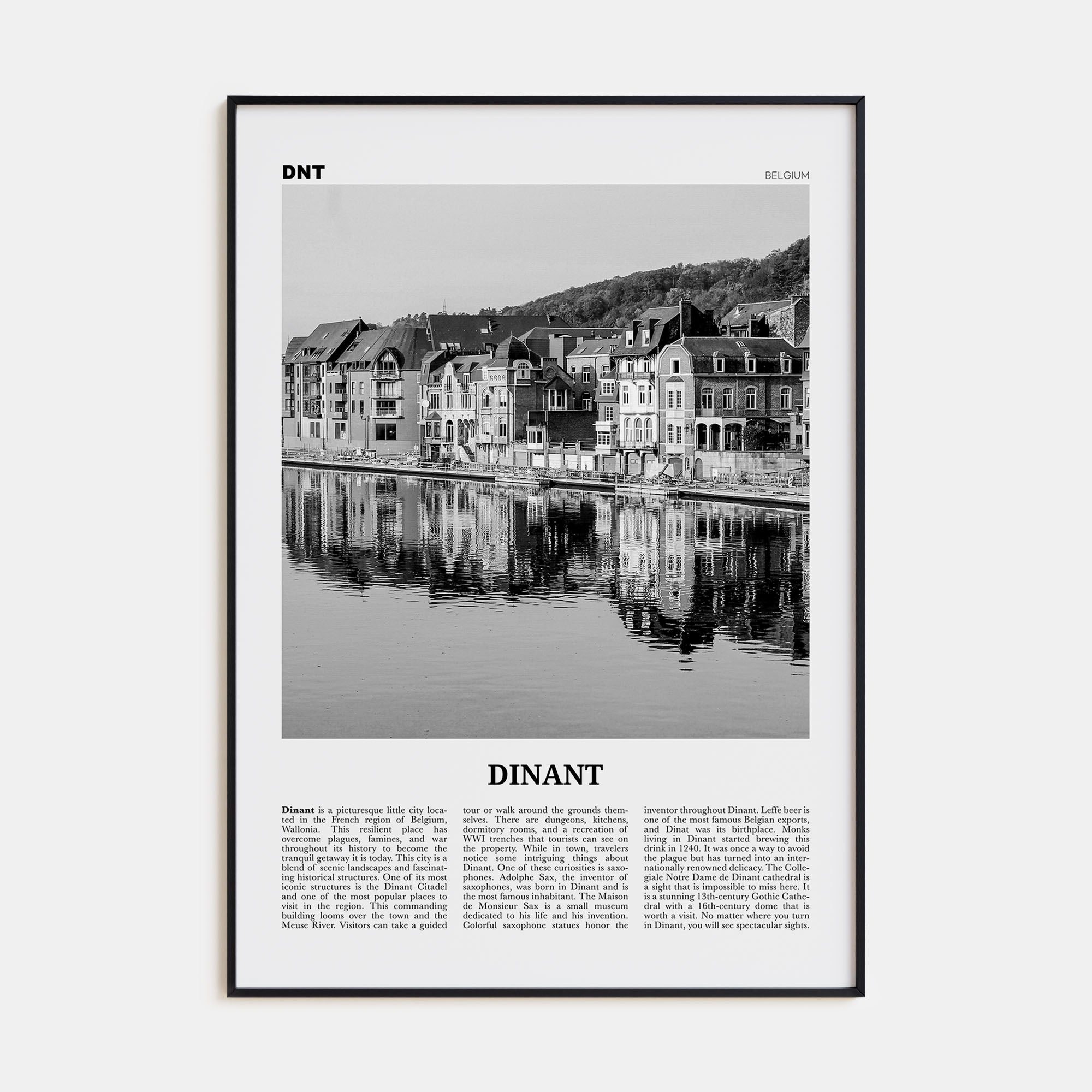 Dinant Travel B&W Poster