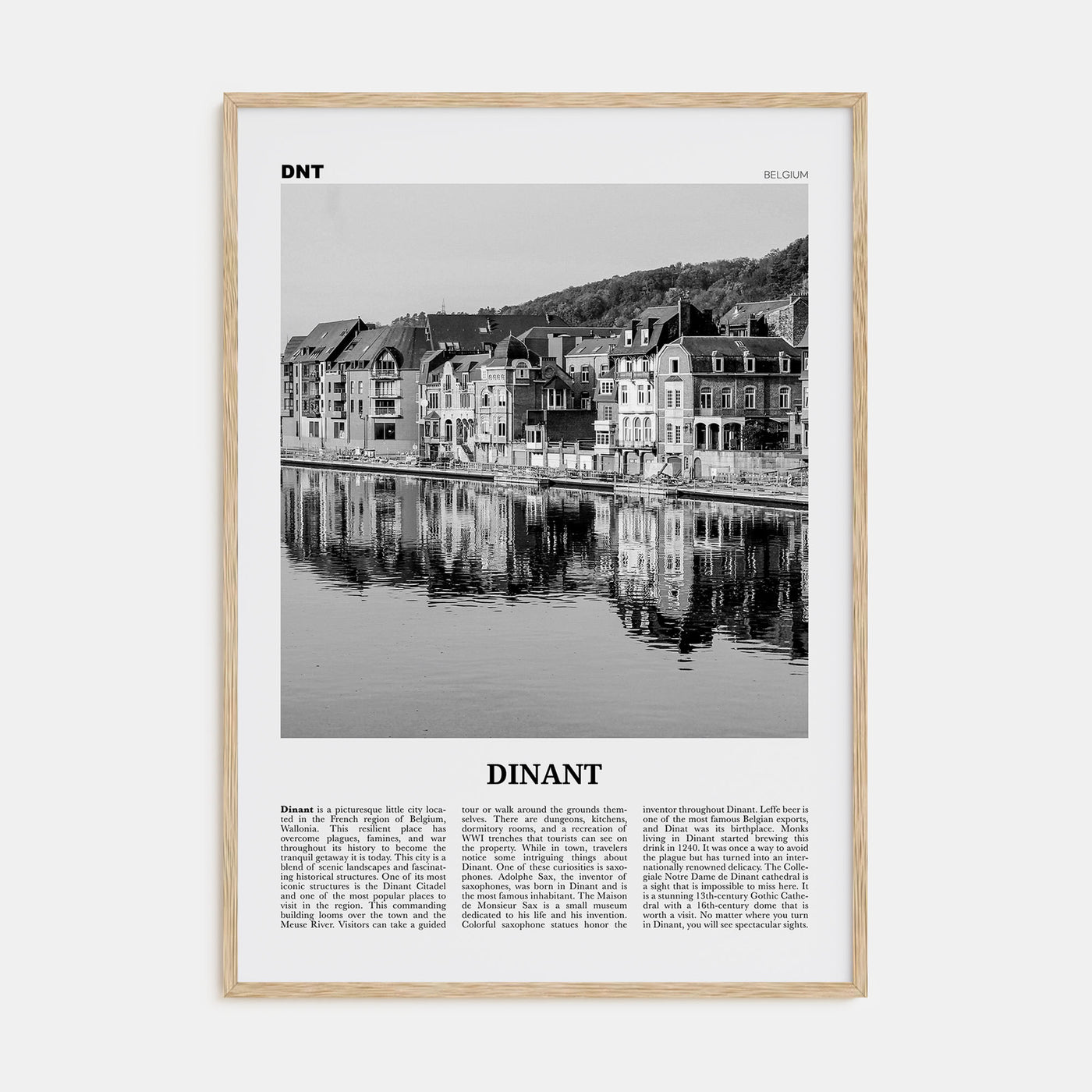 Dinant Travel B&W Poster
