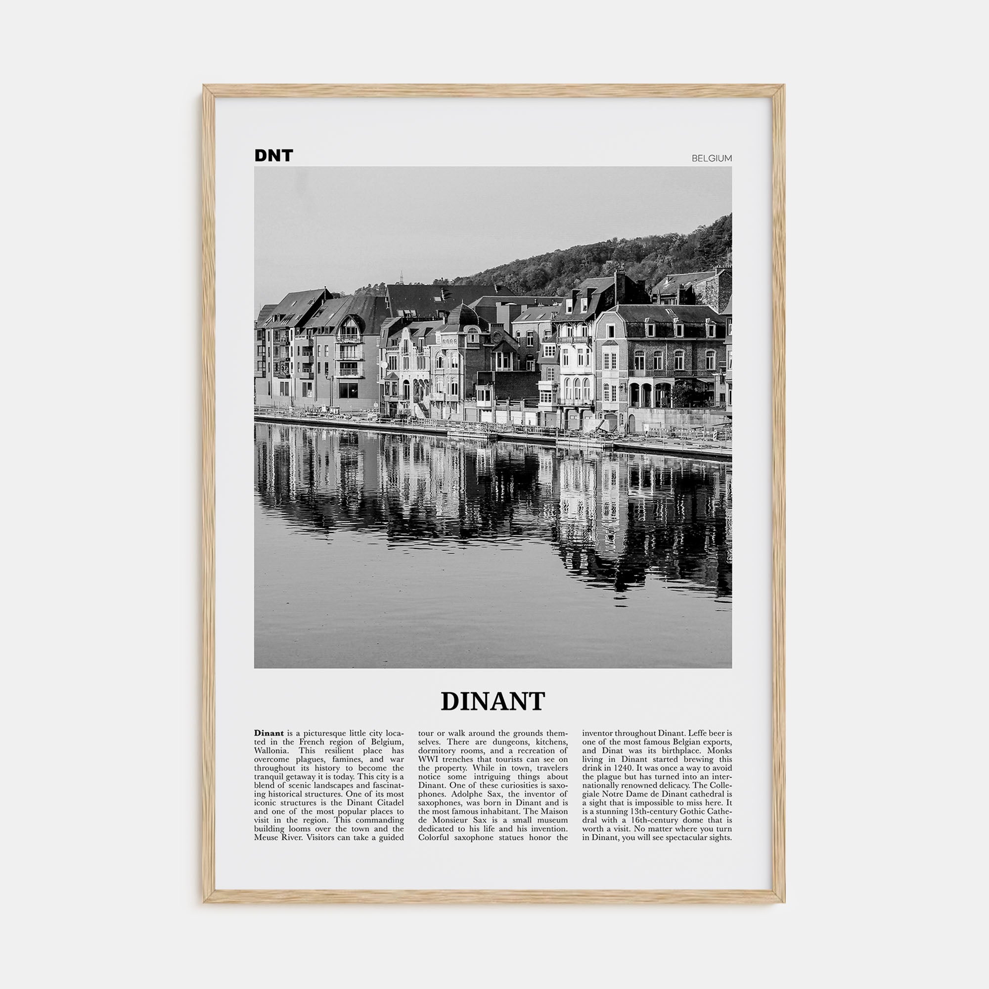 Dinant Travel B&W Poster