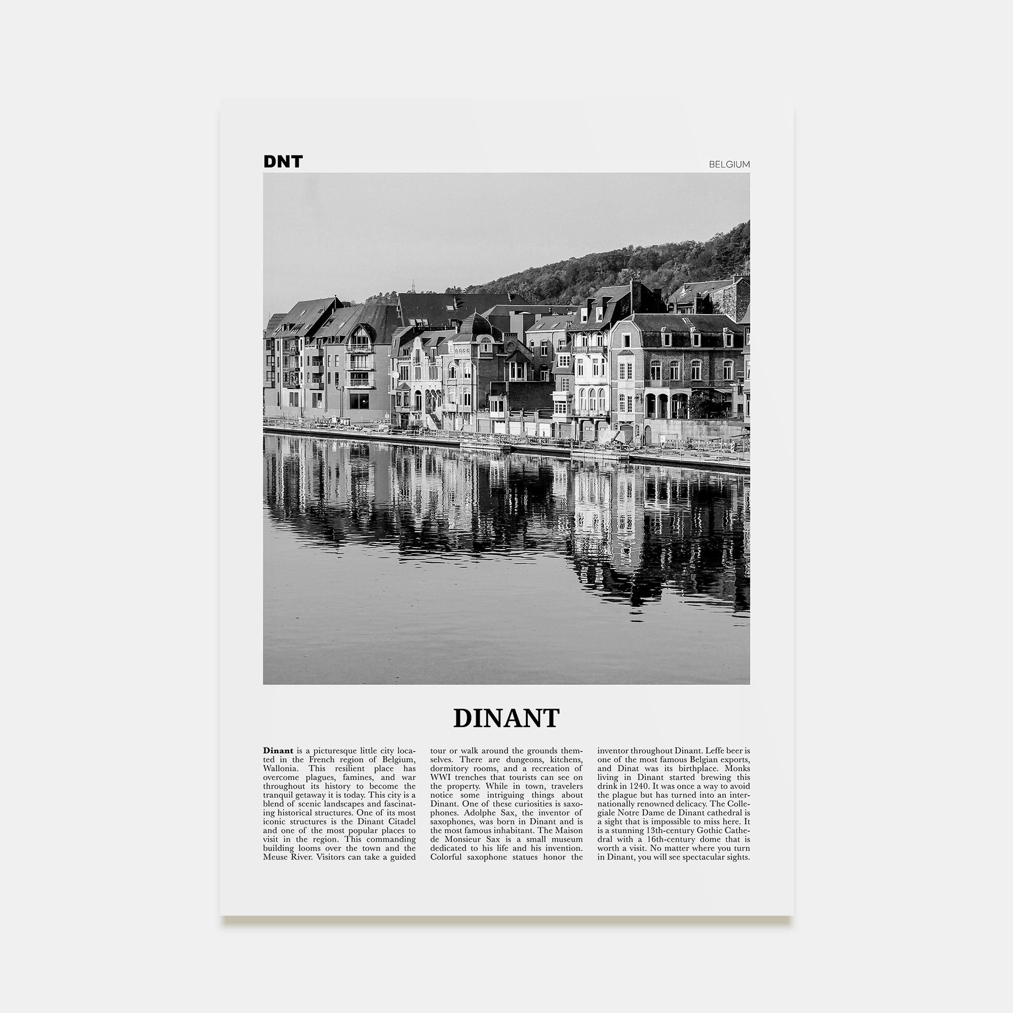 Dinant Travel B&W Poster