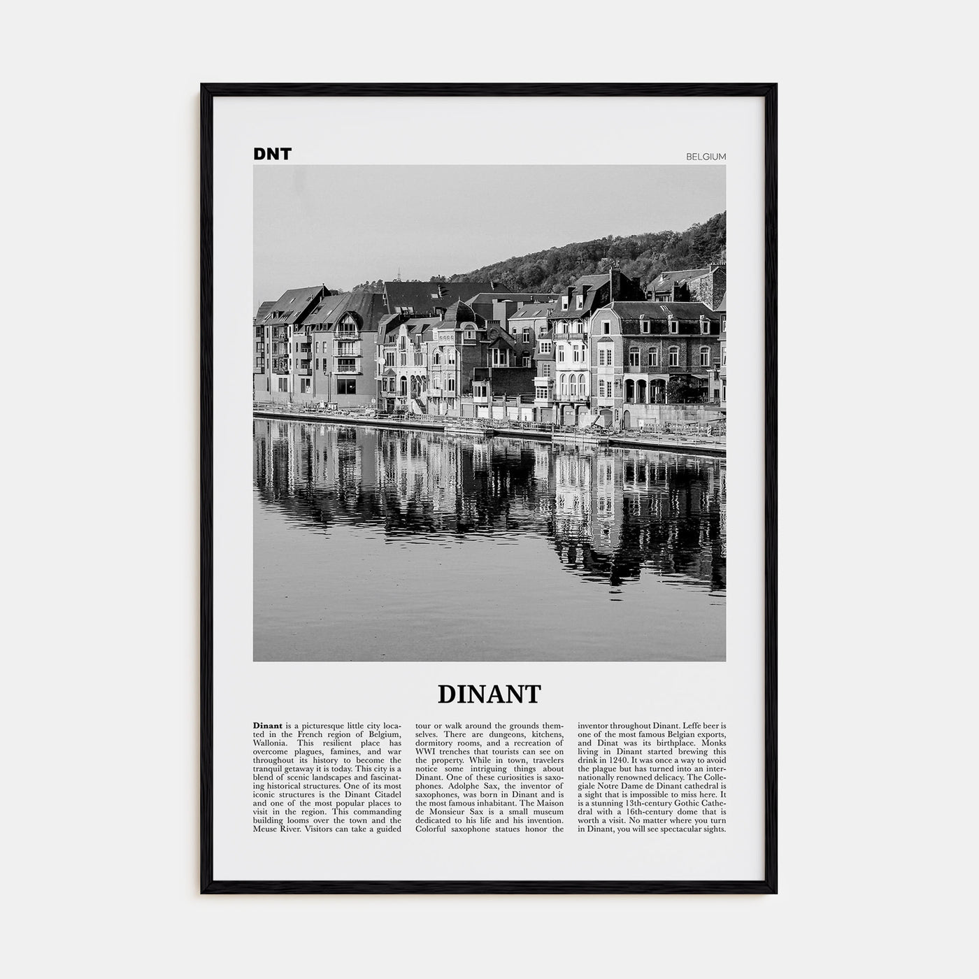 Dinant Travel B&W Poster