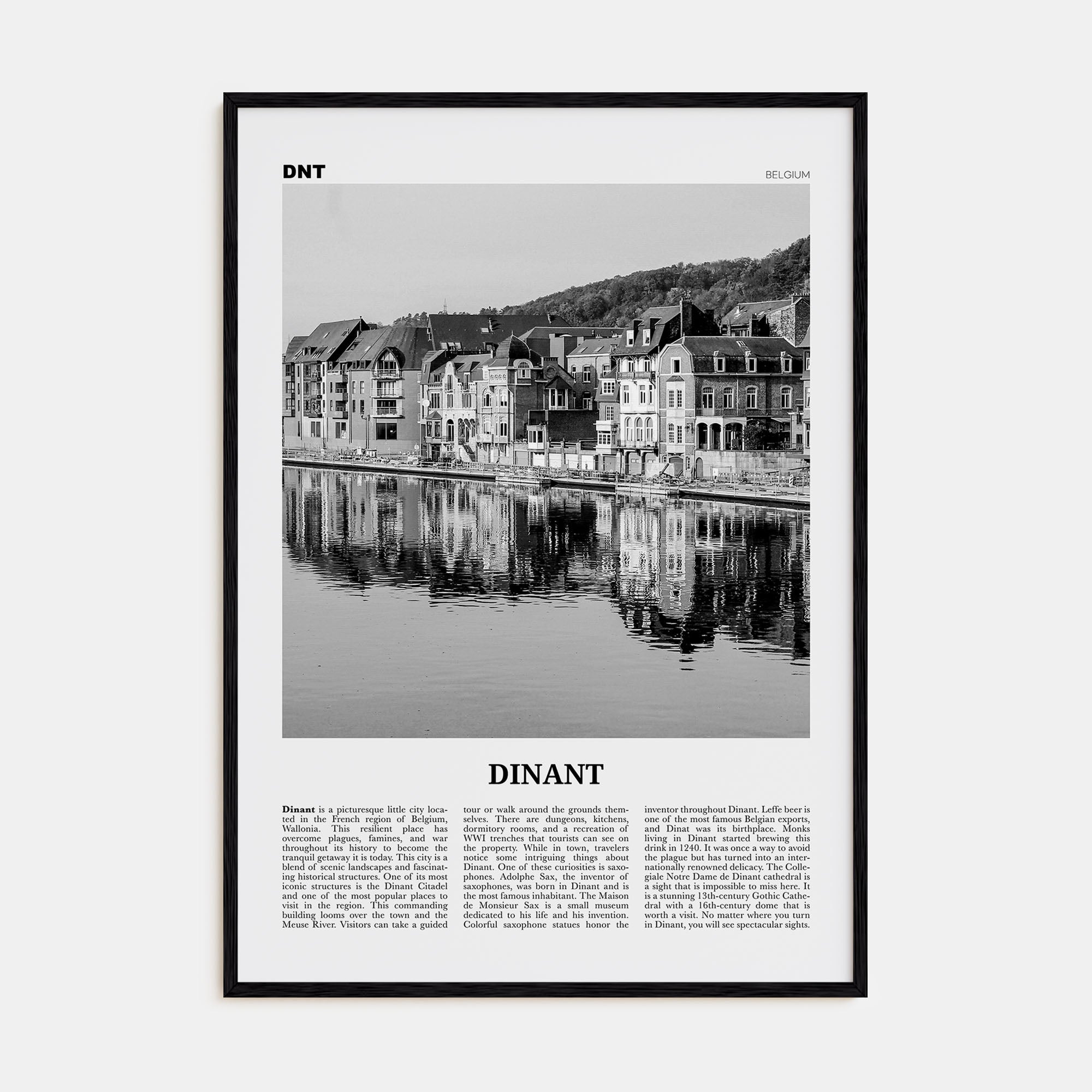 Dinant Travel B&W Poster