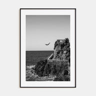Diving Photo B&W Poster