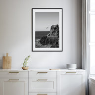Diving Photo B&W Poster
