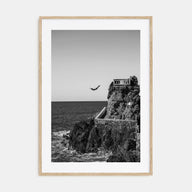 Diving Photo B&W Poster