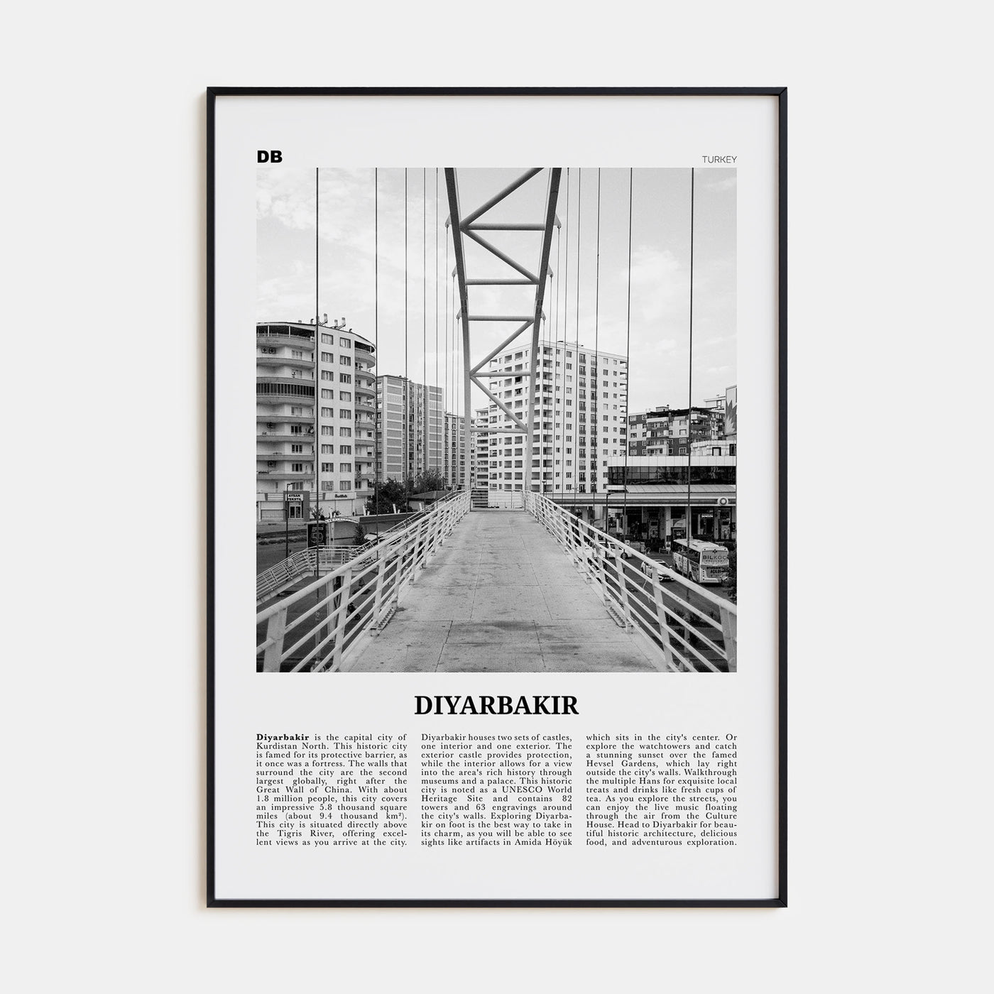 Diyarbakir Travel B&W Poster