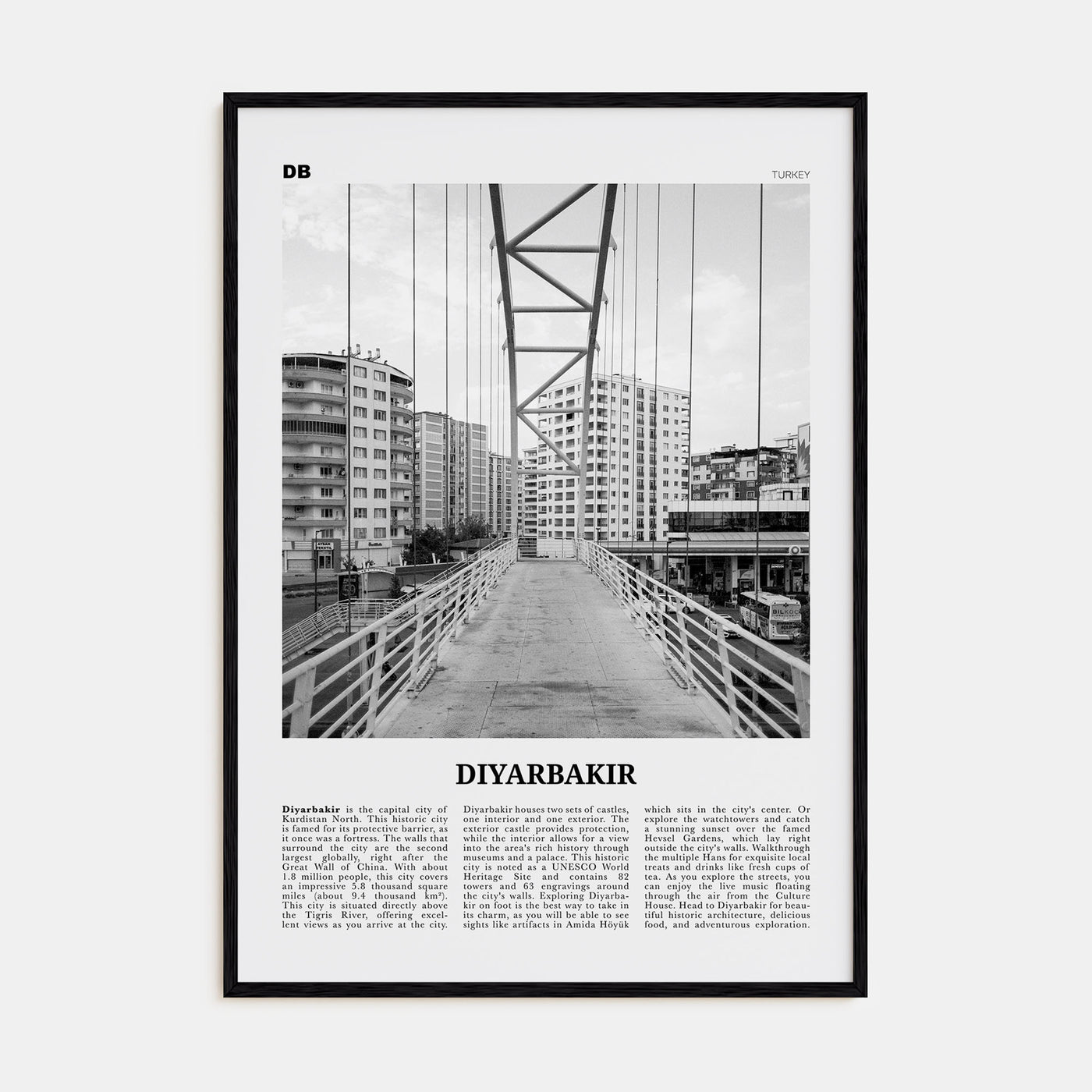 Diyarbakir Travel B&W Poster