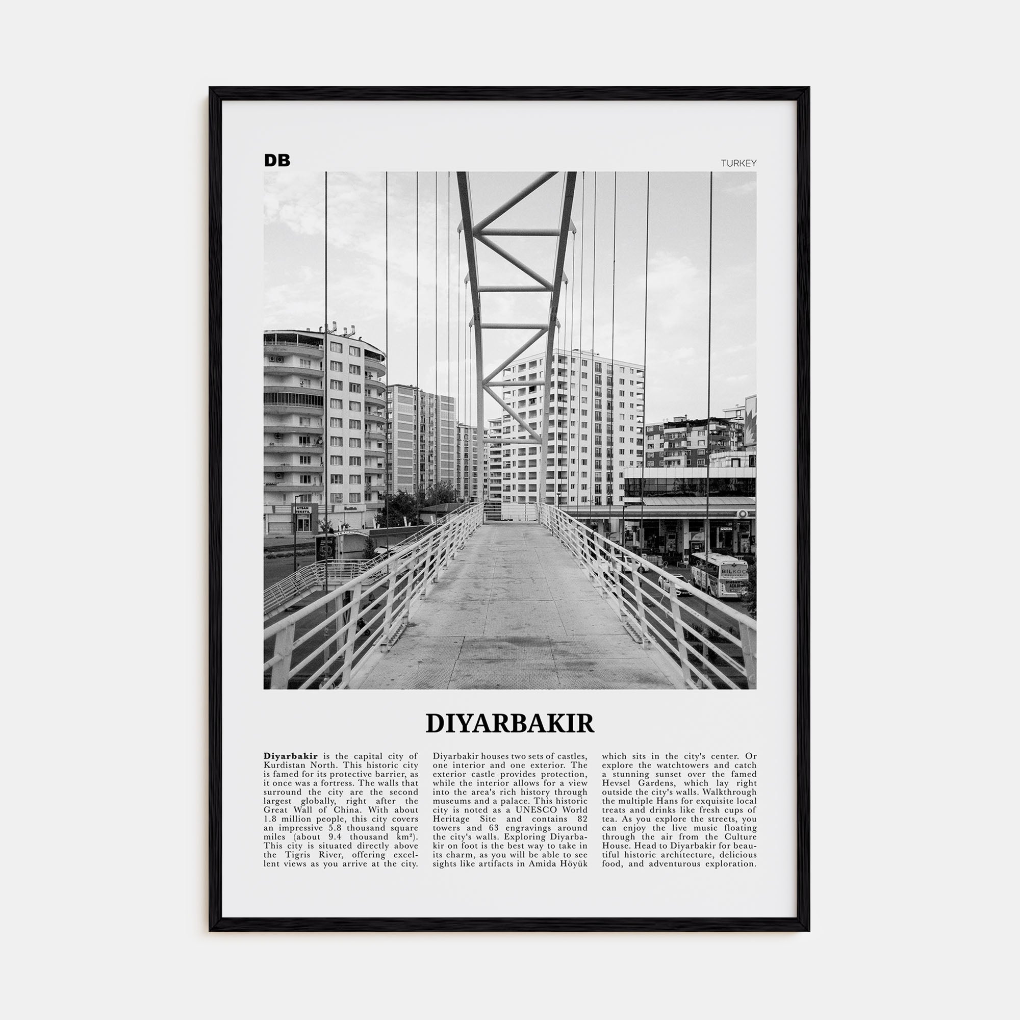 Diyarbakir Travel B&W Poster