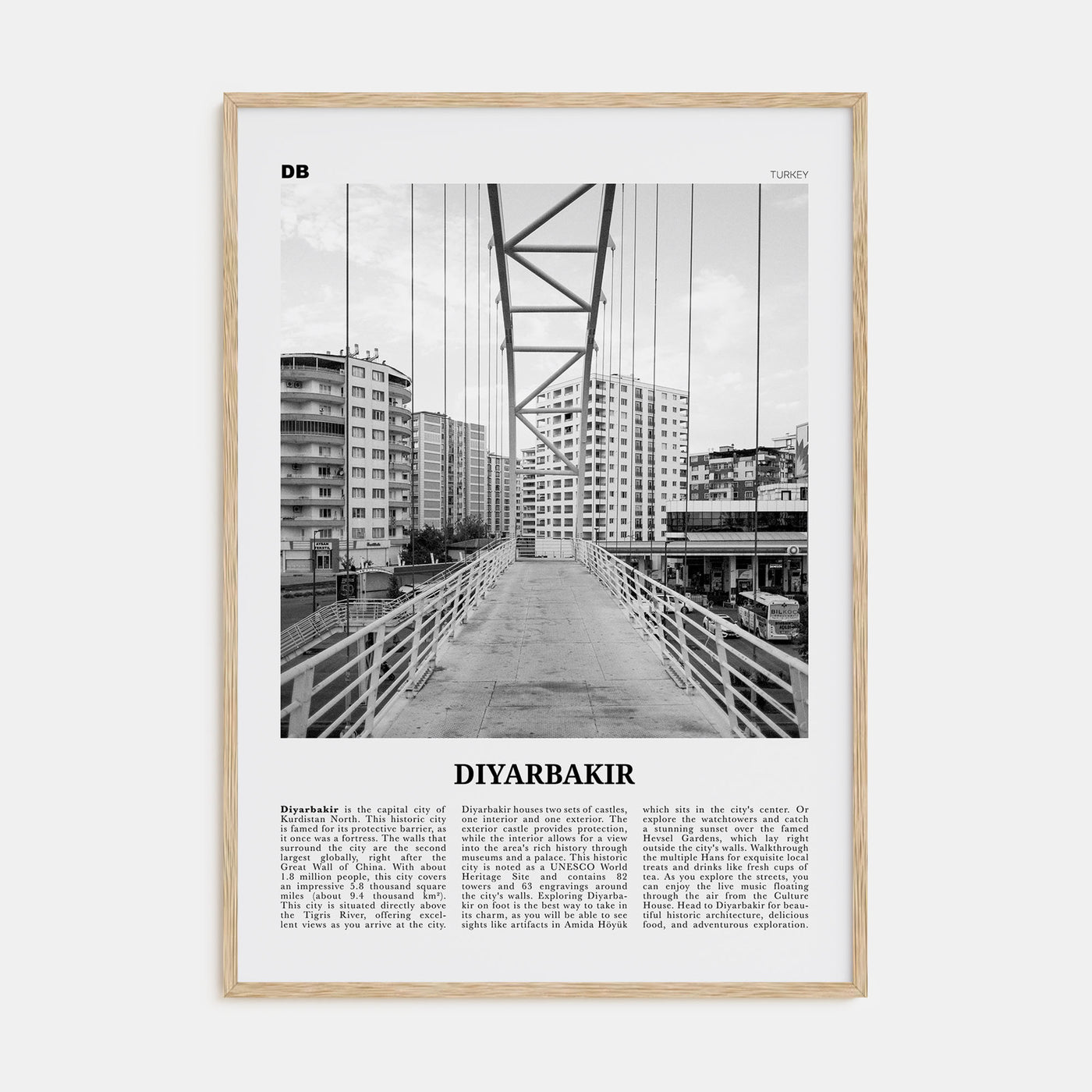 Diyarbakir Travel B&W Poster