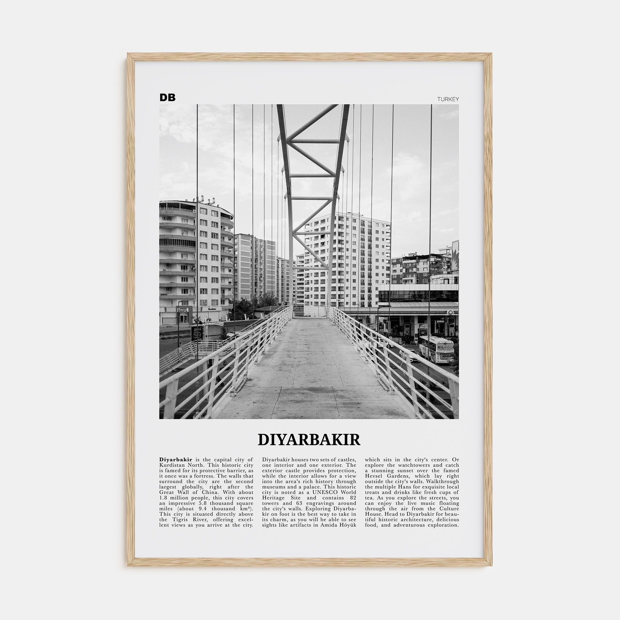 Diyarbakir Travel B&W Poster
