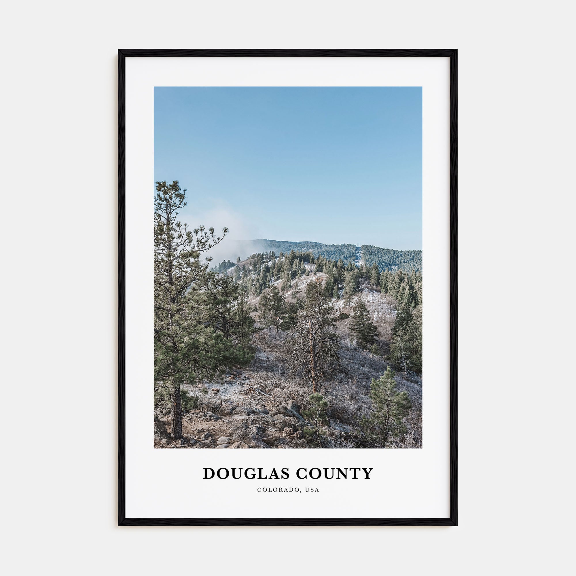 Douglas County Portrait Color Poster