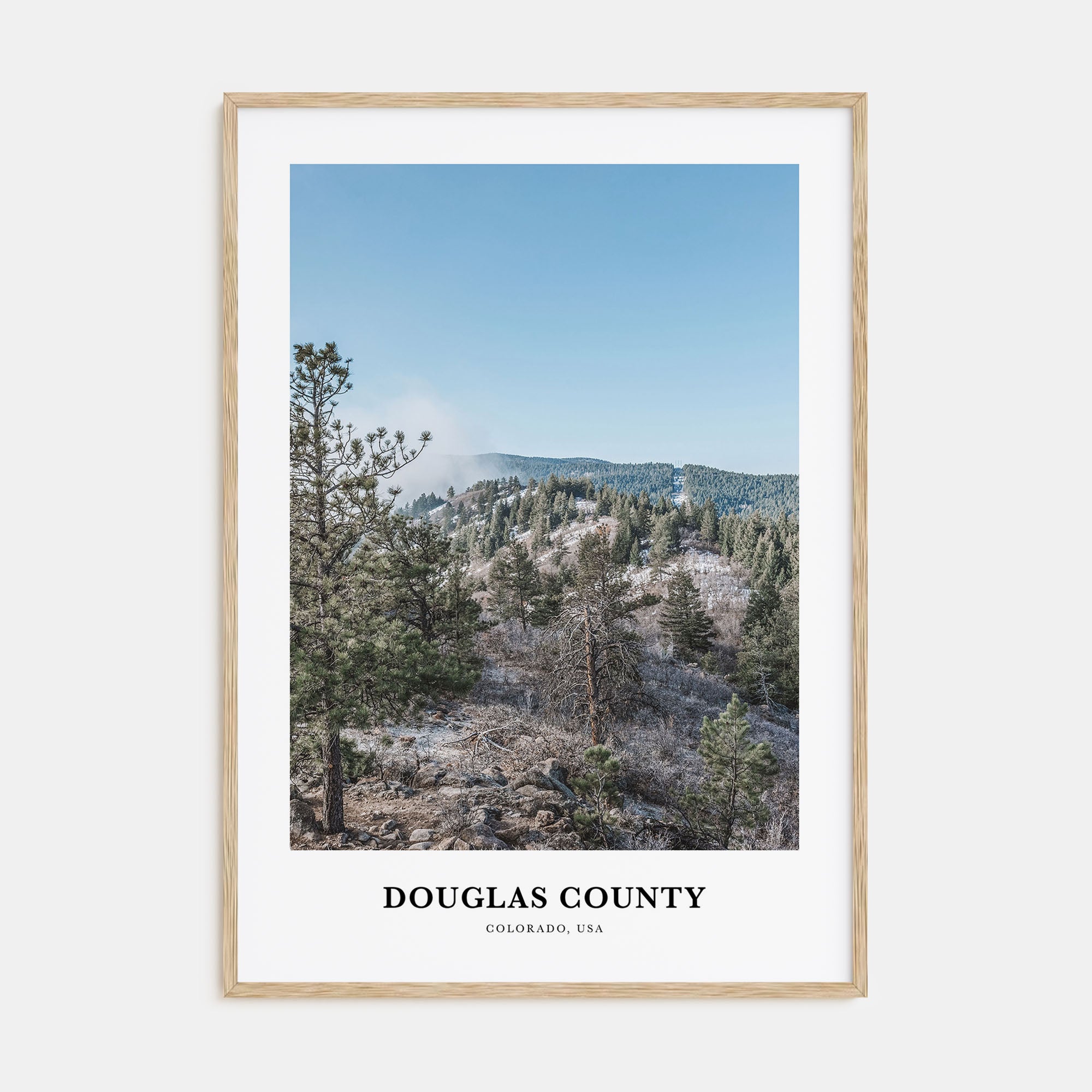 Douglas County Portrait Color Poster
