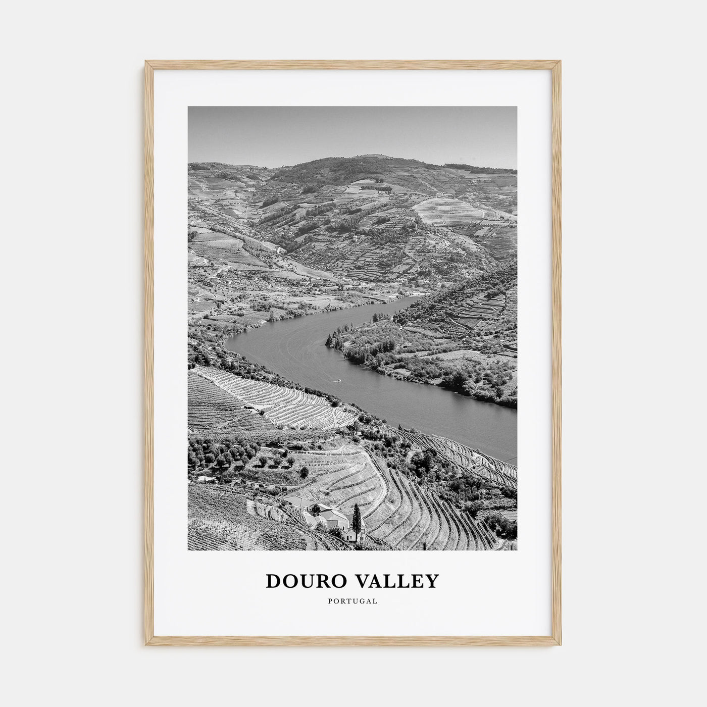Douro Valley Portrait B&W Poster