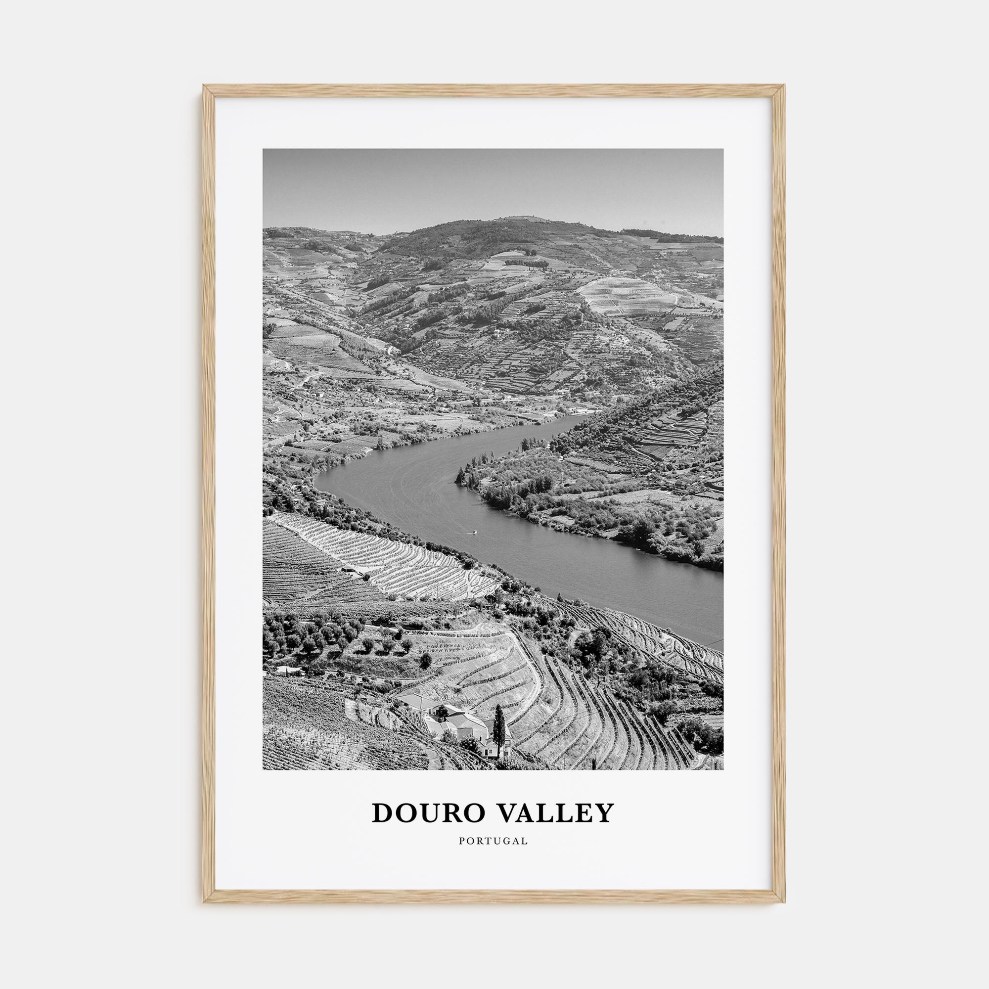 Douro Valley Portrait B&W Poster