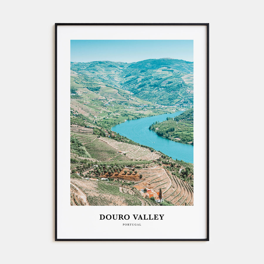 Douro Valley Portrait Color Poster