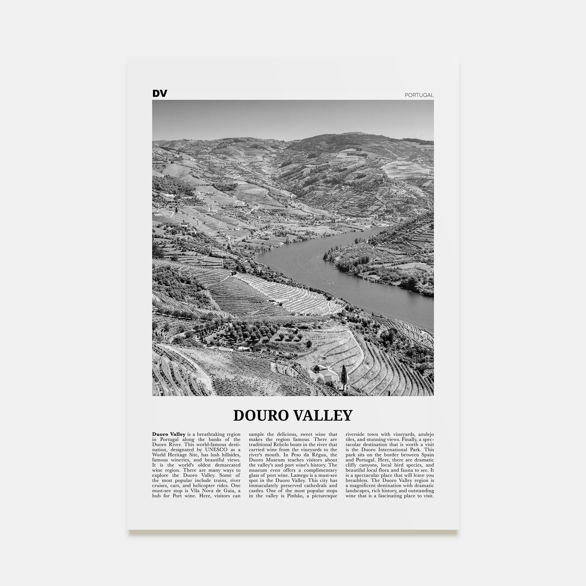 Douro Valley Travel B&W Poster