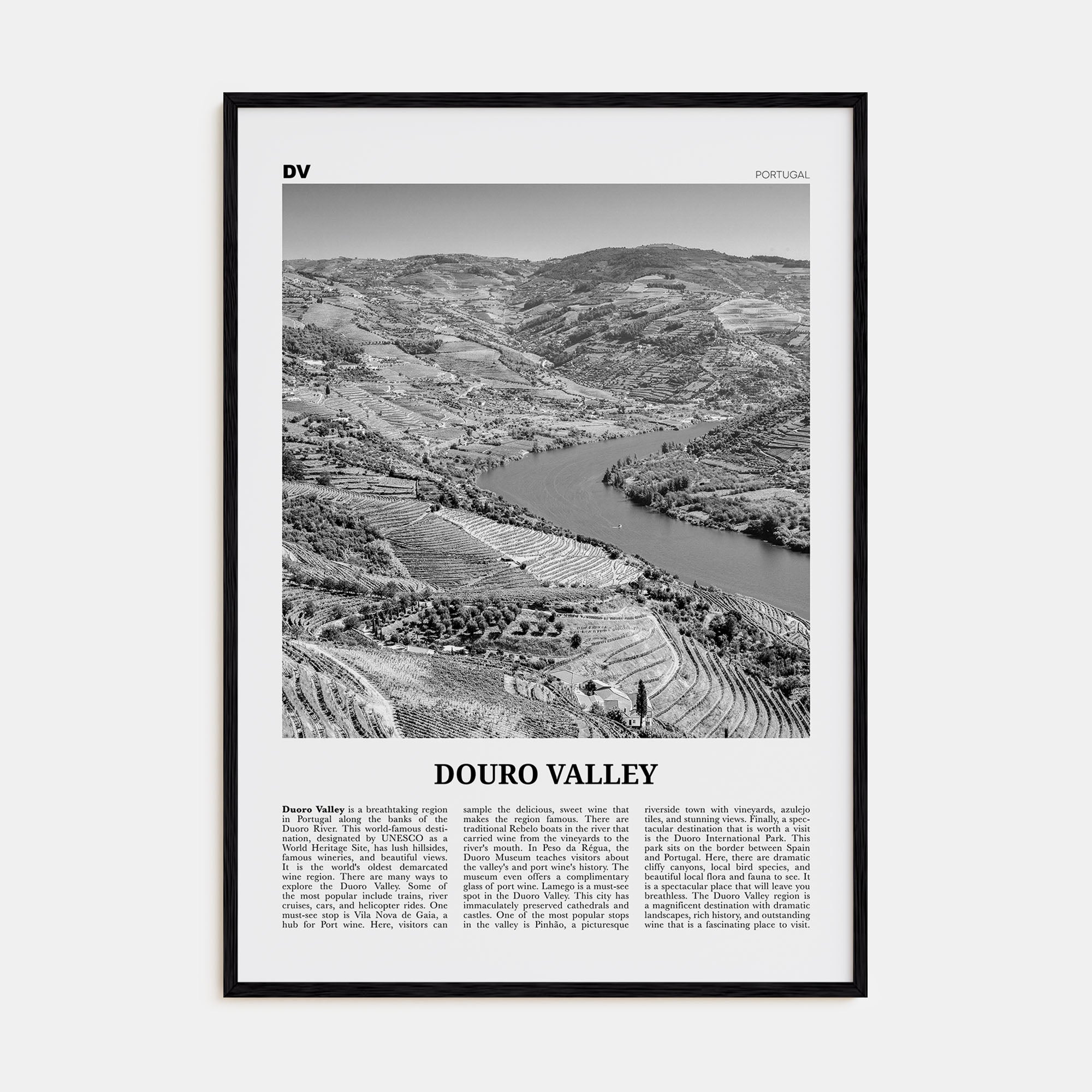Douro Valley Travel B&W Poster