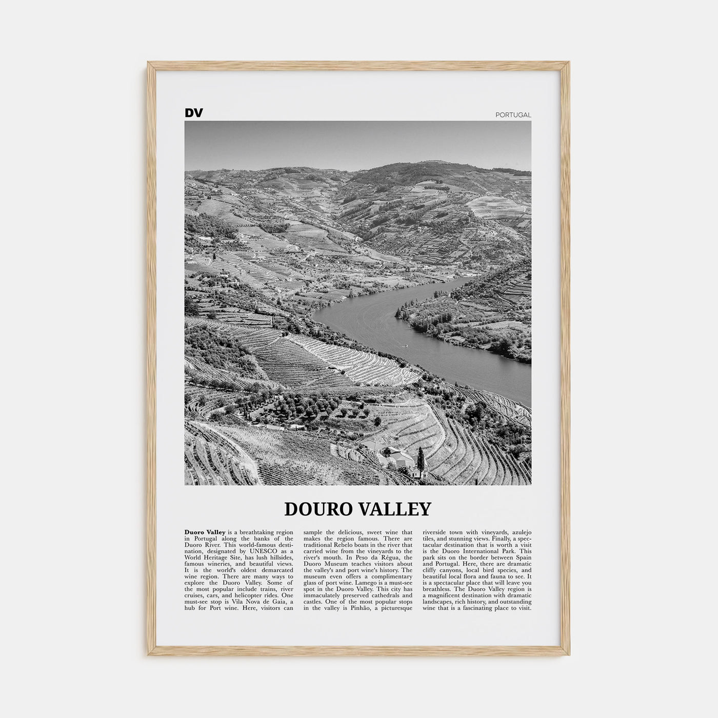 Douro Valley Travel B&W Poster