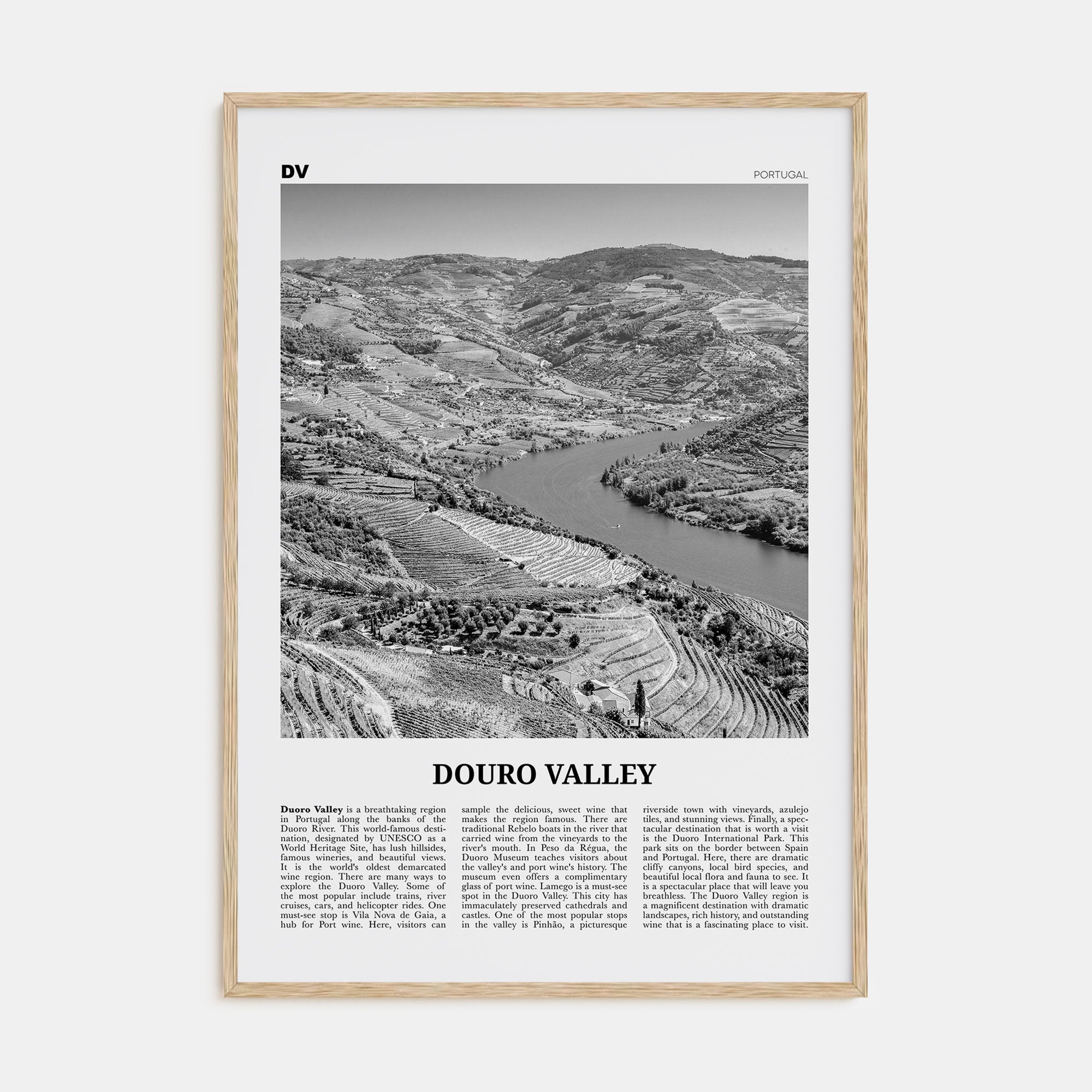 Douro Valley Travel B&W Poster